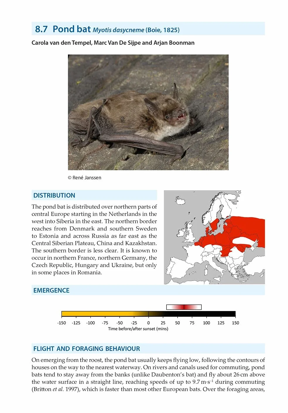 Bat Calls of Britain and Europe: A Guide to Species Identification