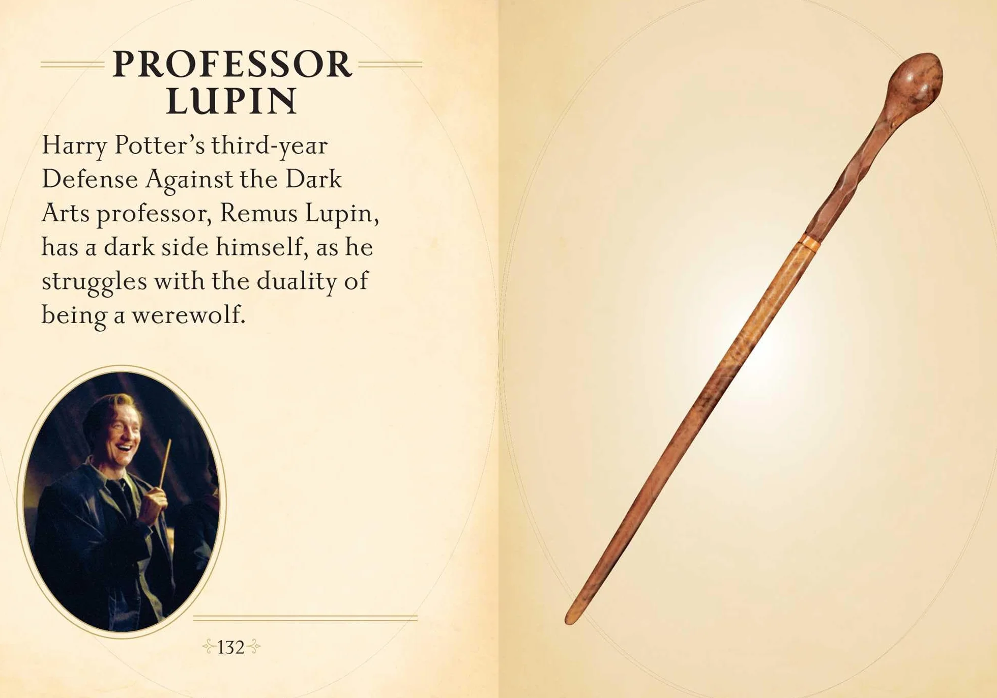 Harry Potter: The Mini Book of Wands