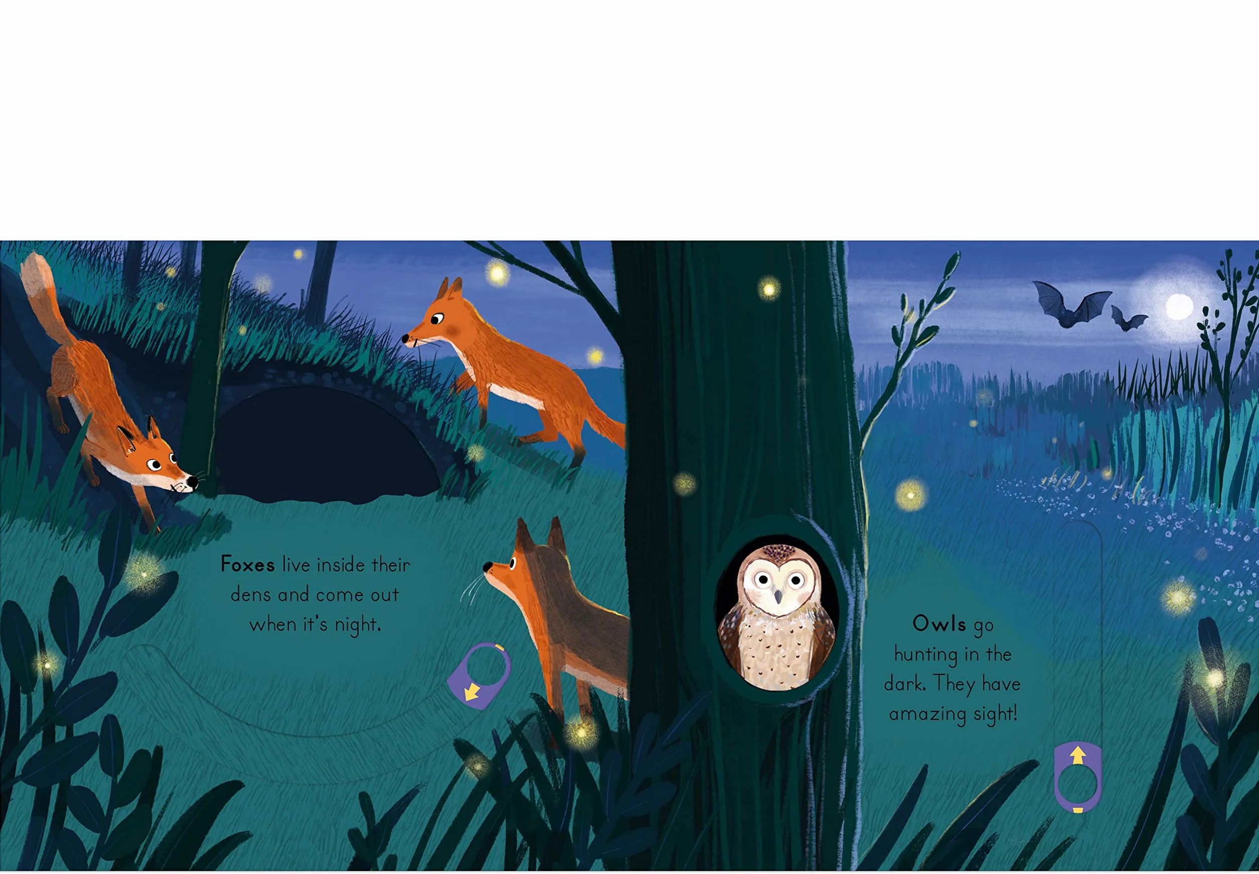 National Trust Big Outdoors for Little Explorers Woods