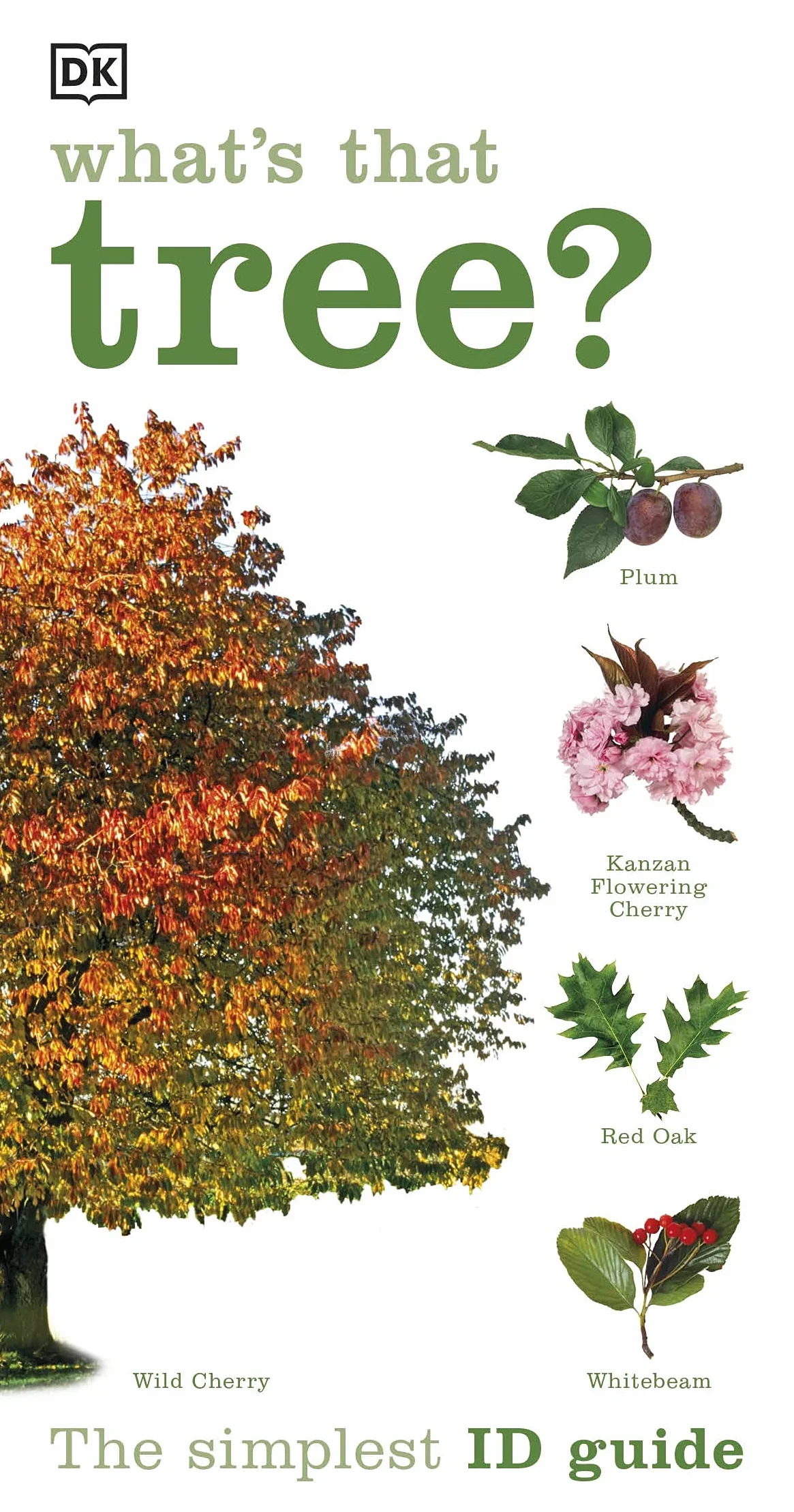 What's that Tree?: The Simplest ID Guide Ever