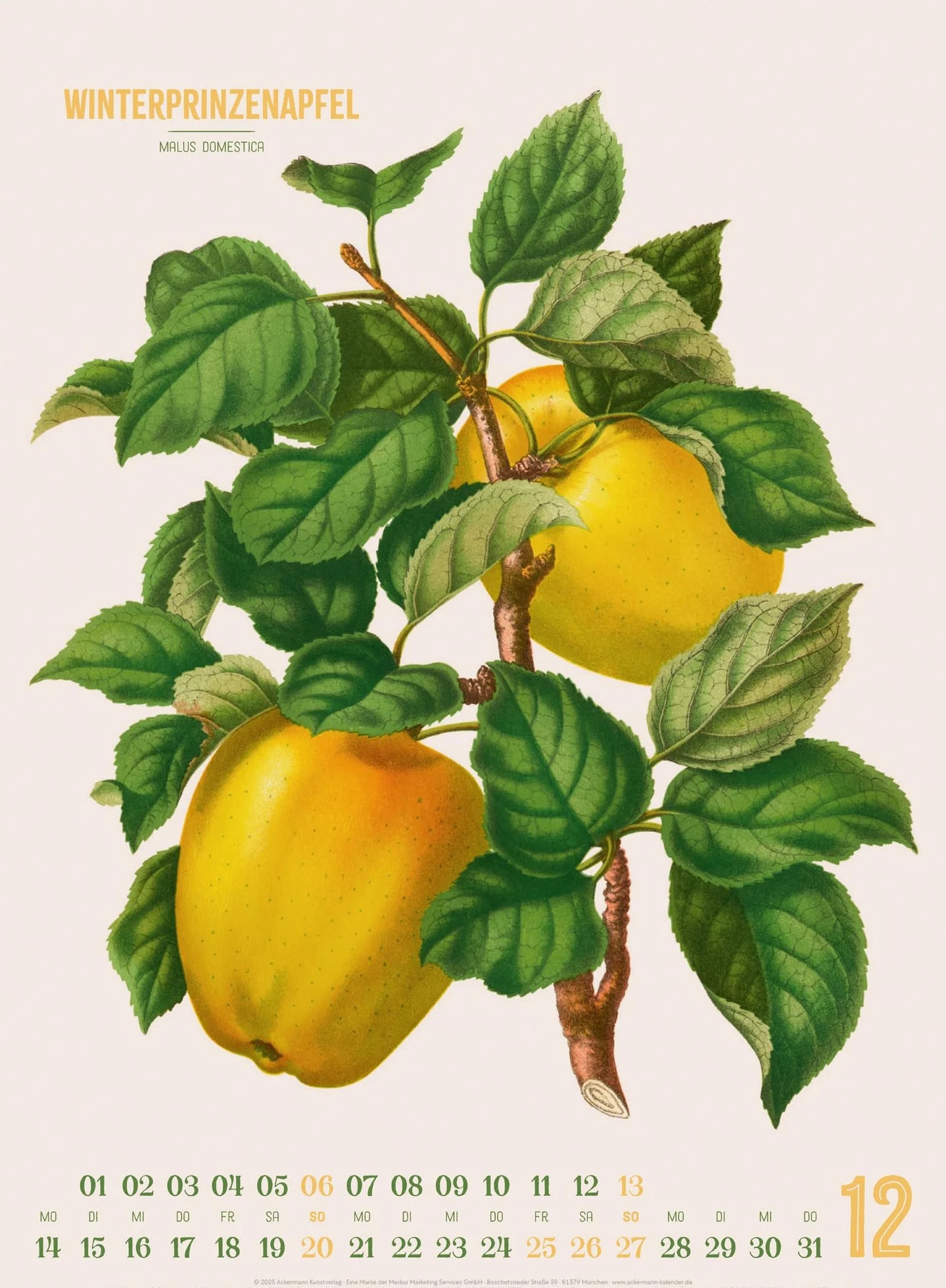 Obstgarten Kalender 2026 | Apfel, Birne, Pflaume & Co.: Stilvoller Retro-Küchen-Kalender im Hochformat (33x45 cm) | Gedruckt auf Apfelpapier
