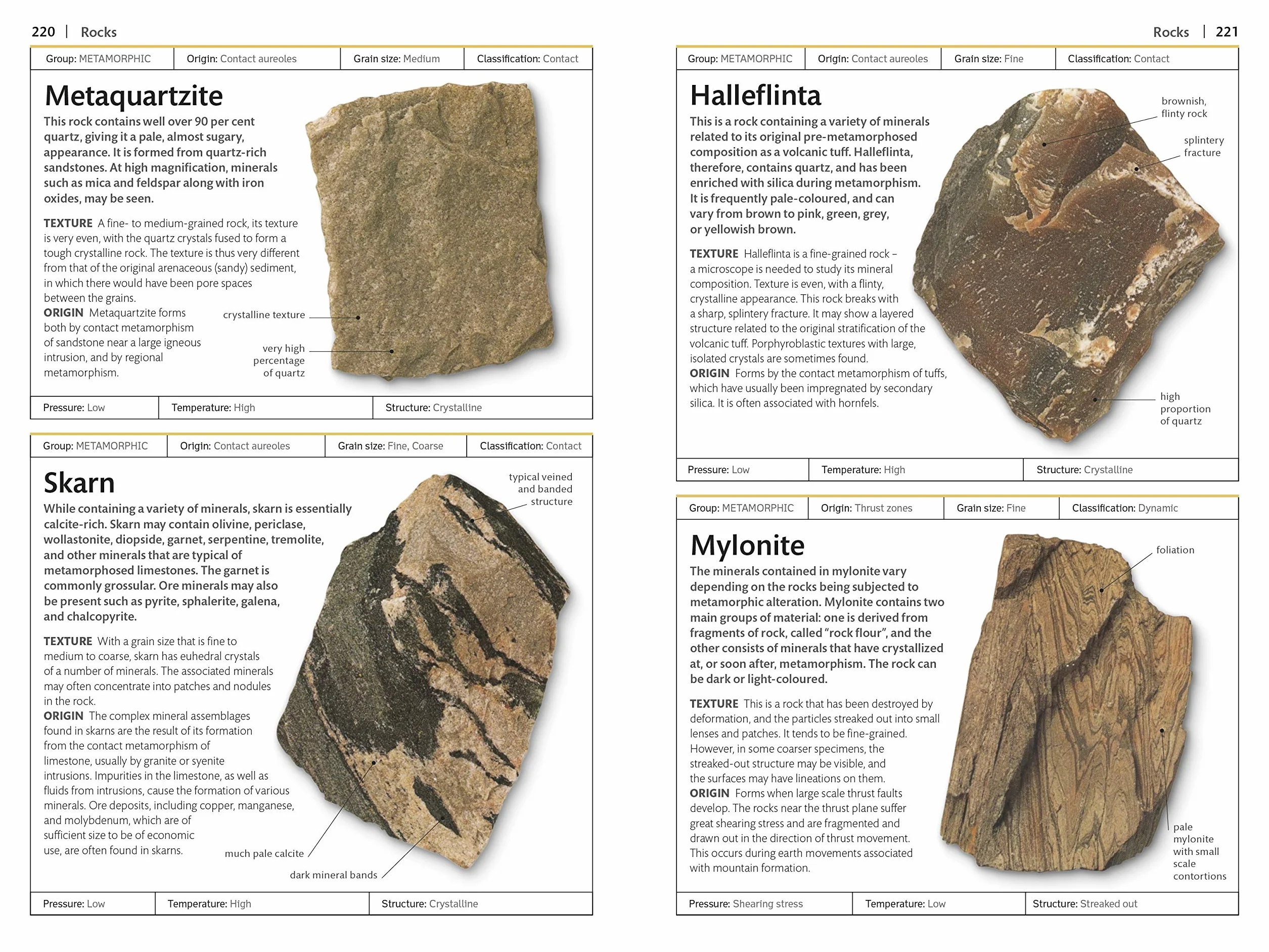 Rocks and Minerals (DK Handbooks)