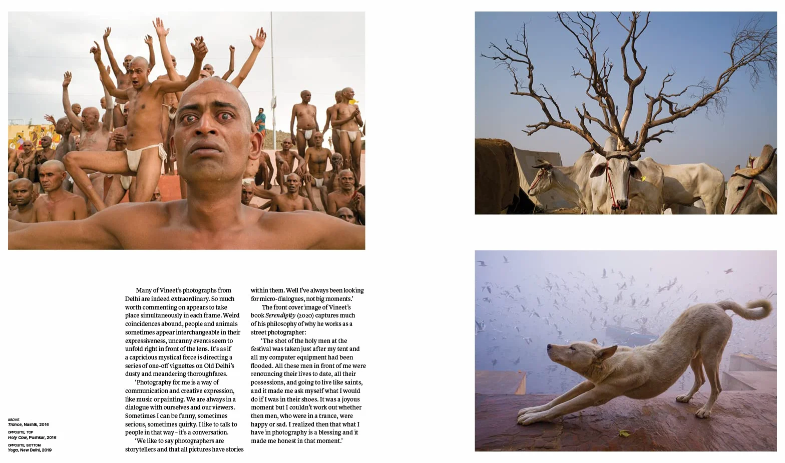 Reclaim the Street: Street Photography's Moment /anglais