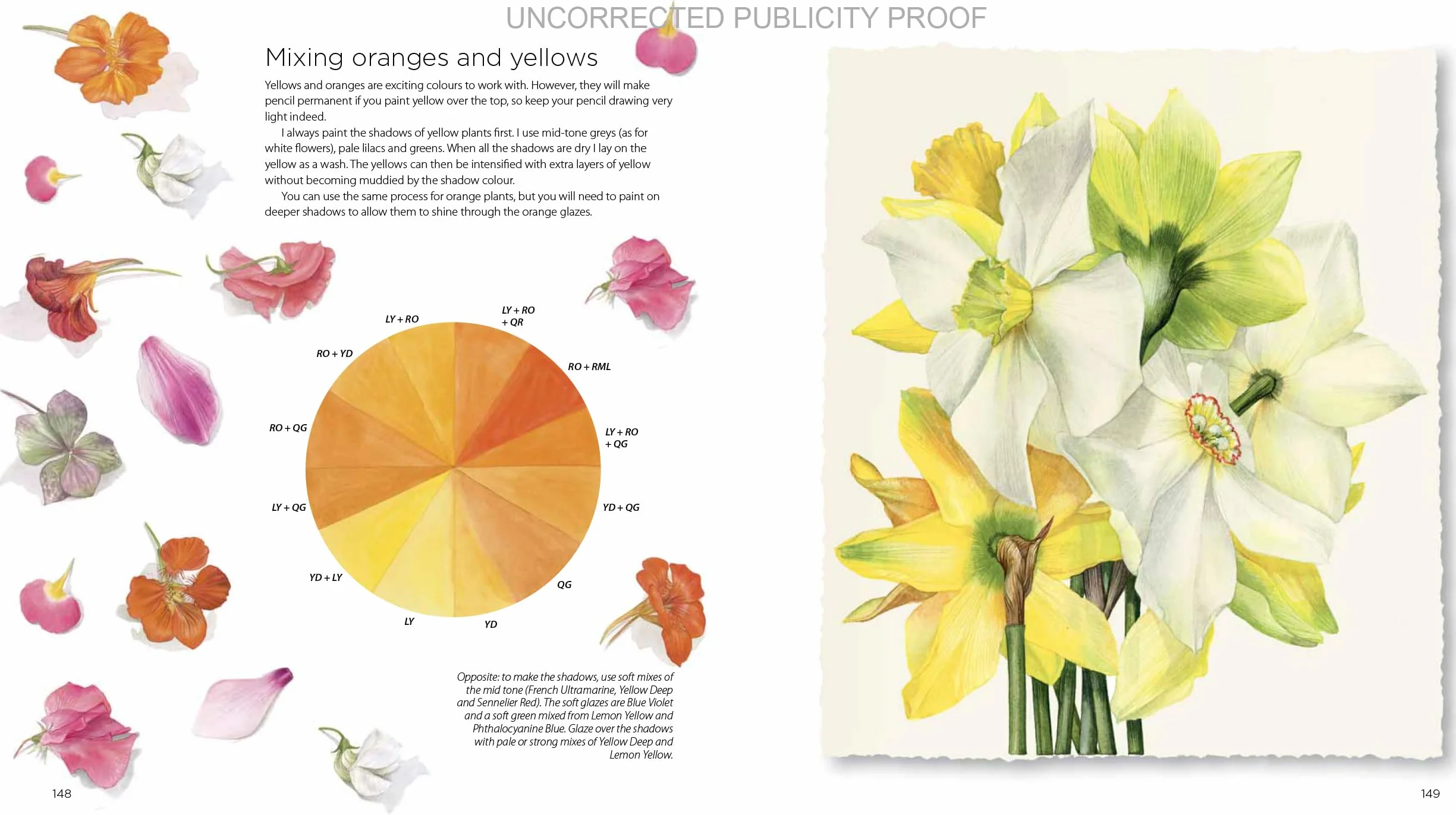 Billy Showell's Botanical Painting in Watercolour