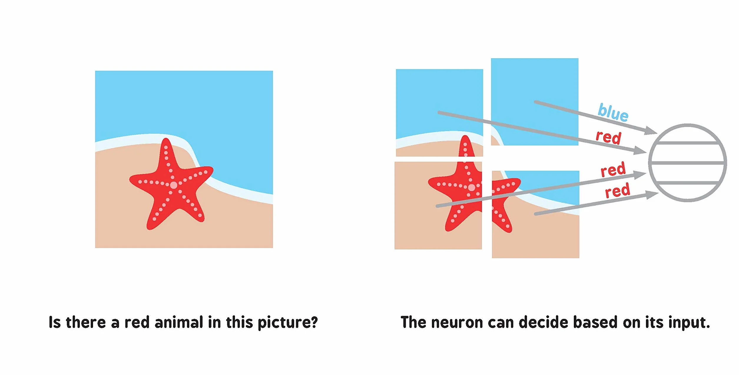 Neural Networks for Babies (Baby University)