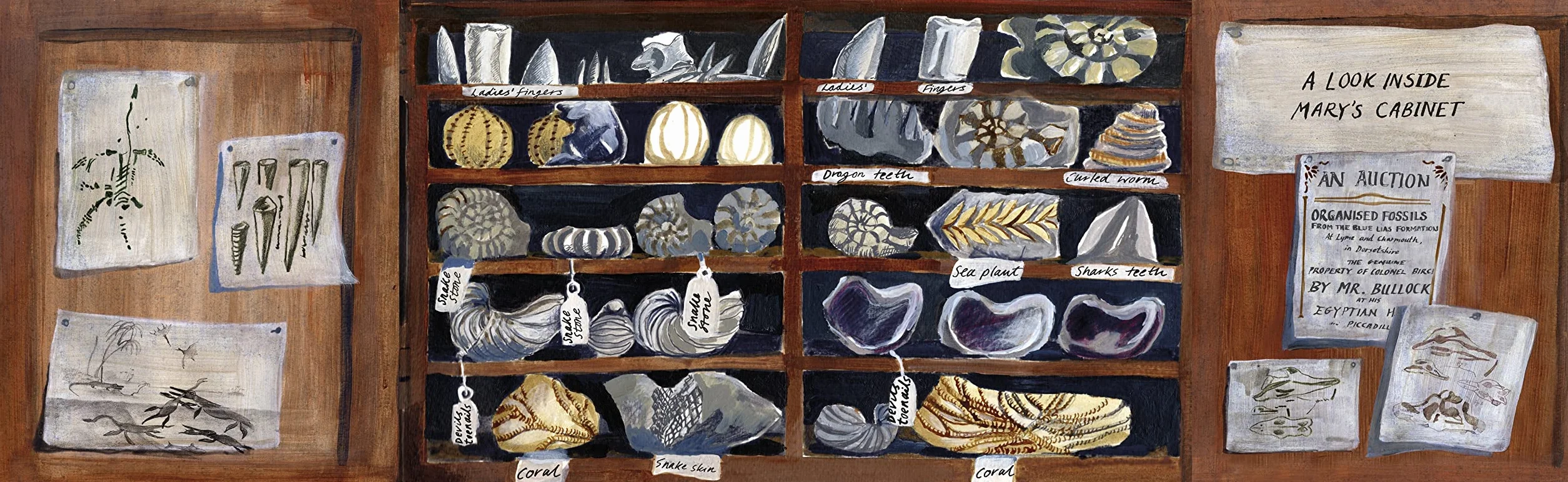 The Fossil Hunter: How Mary Anning unearthed the truth about the dinosaurs