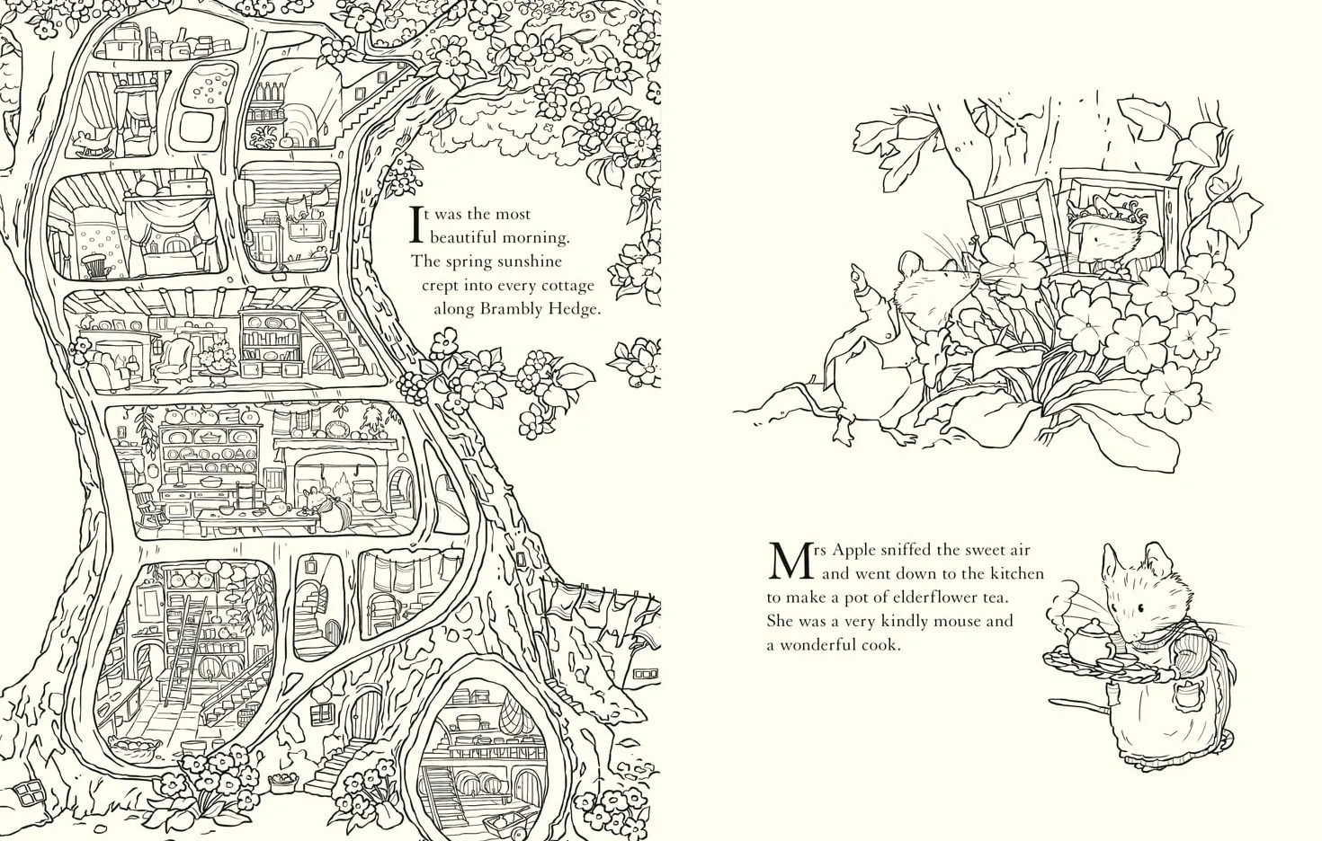Brambly Hedge: Nature Colouring Book: Enter the cosy world of Brambly Hedge with this perfect colouring book for relaxation for all ages