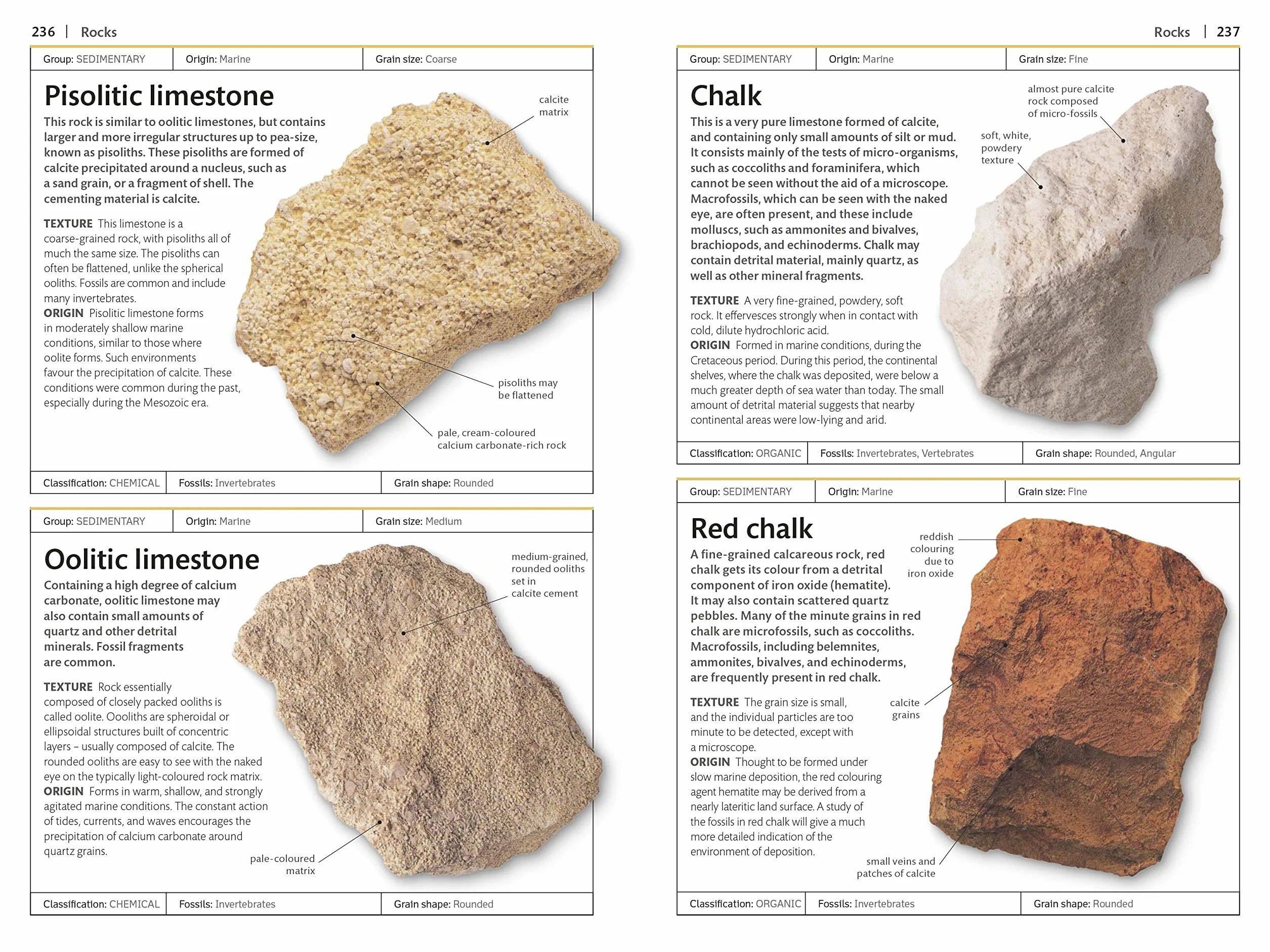 Rocks and Minerals (DK Handbooks)