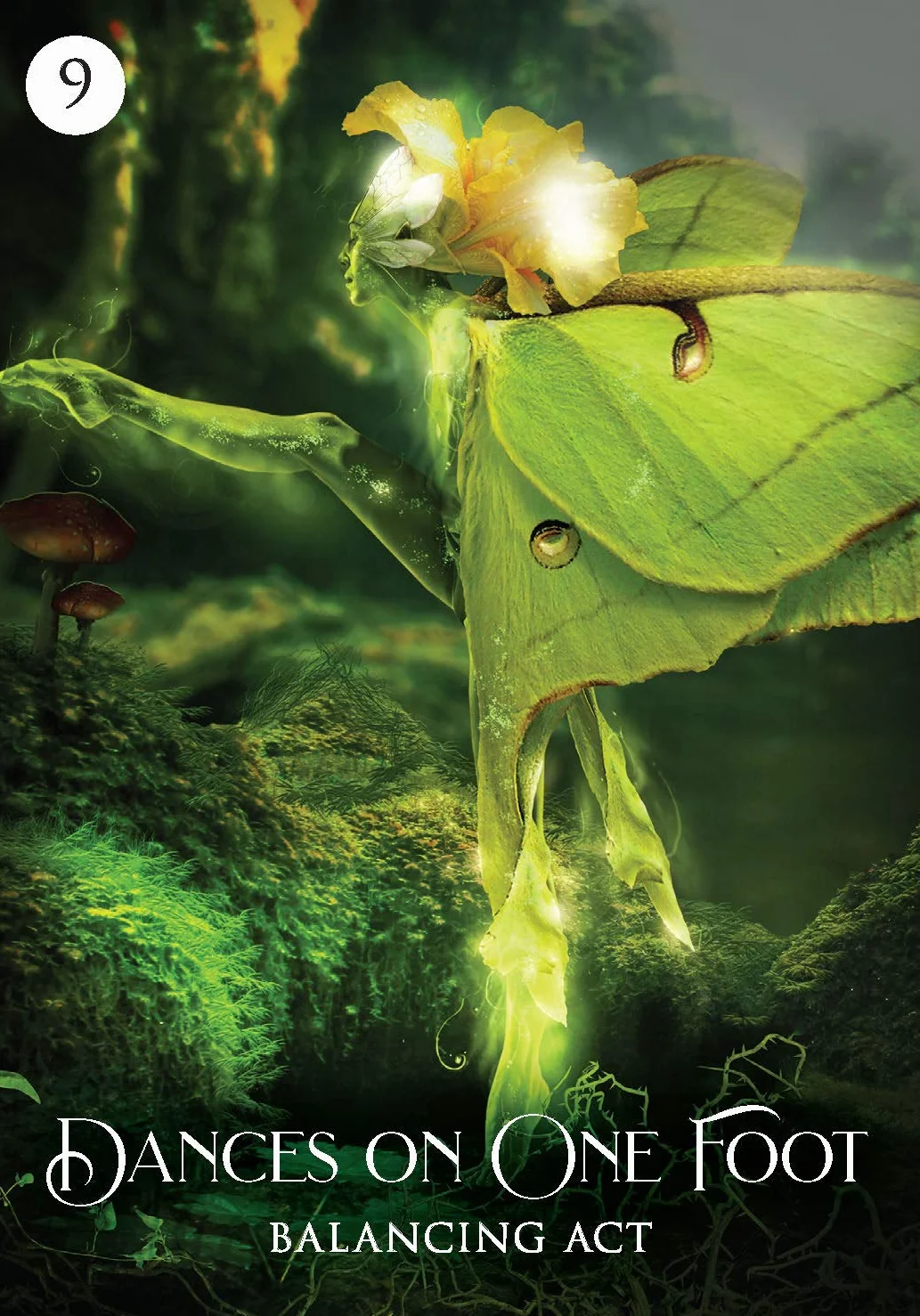 The Shaman's Dream Oracle: A 64-Card Deck and Guidebook