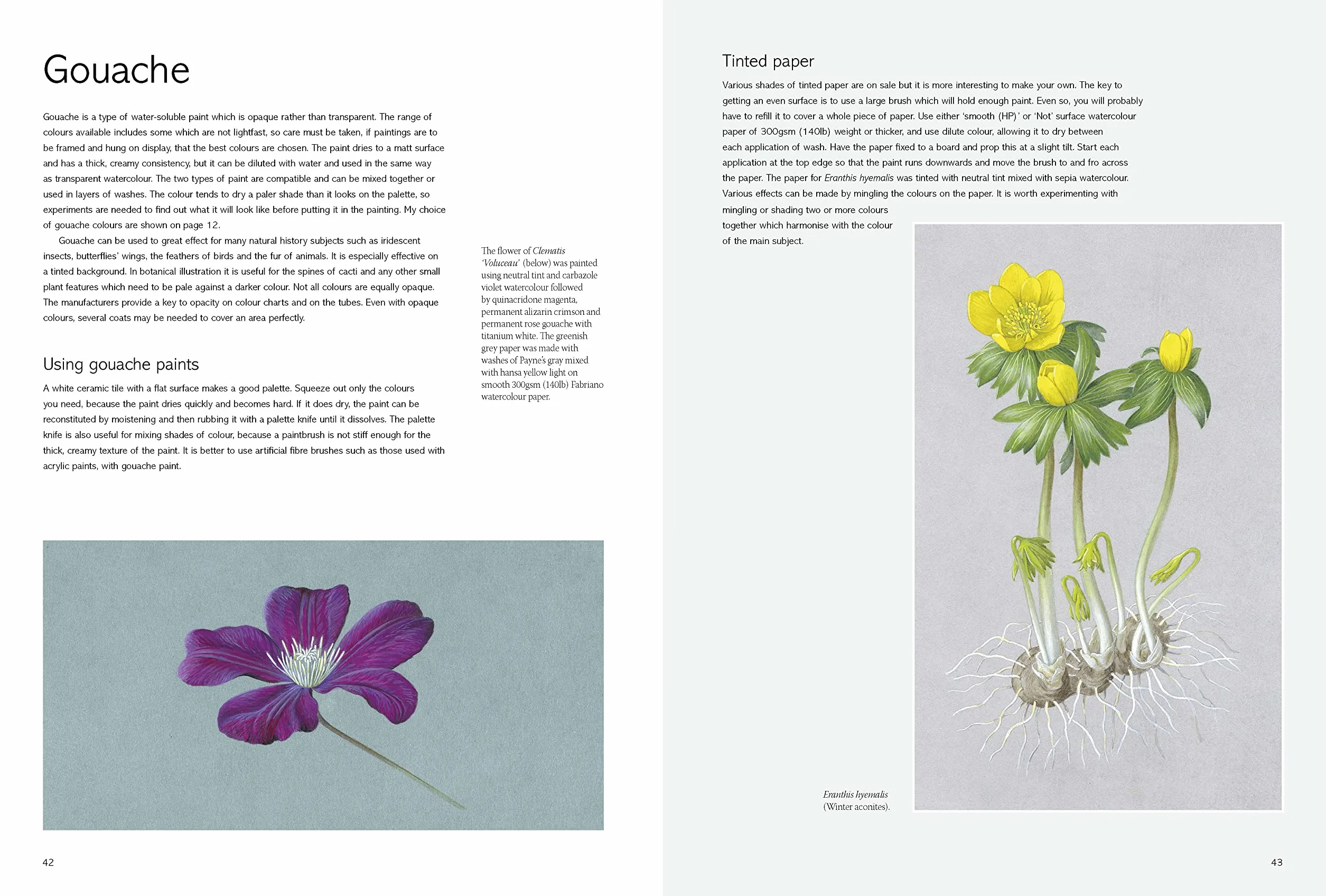 Kew Book of Botanical Illustration