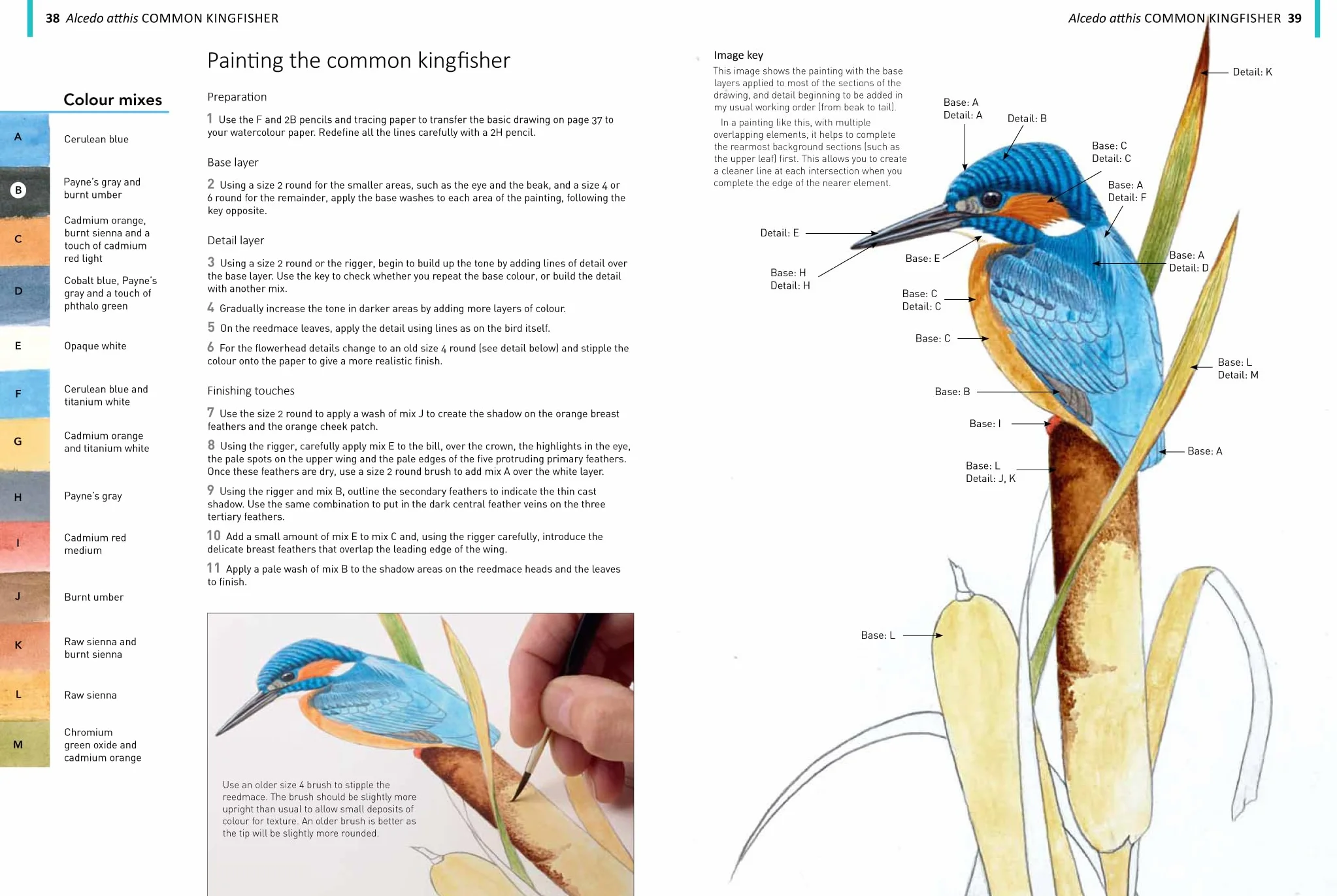 A-Z of Bird Portraits: An Illustrated Guide to Painting Beautiful Birds in Acrylics