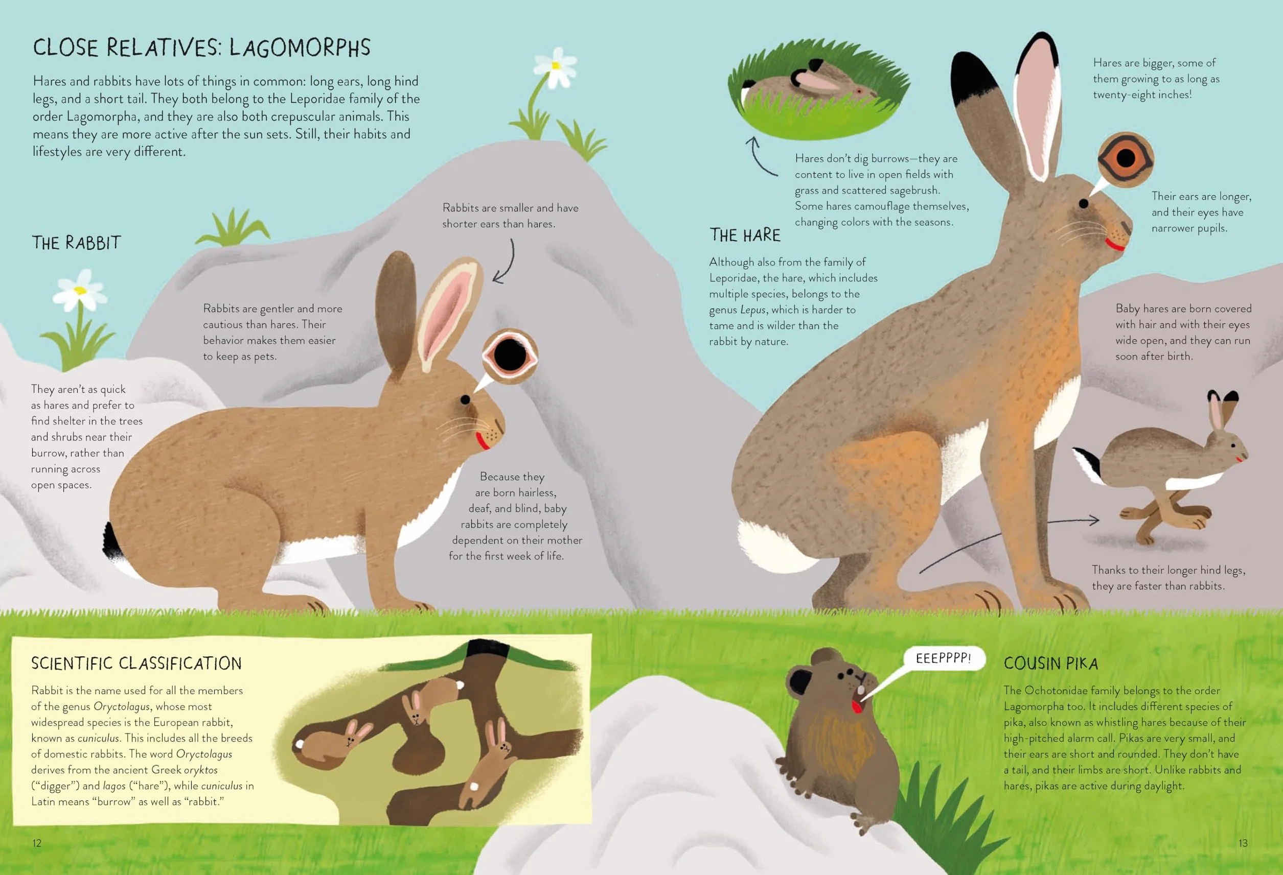 Rabbitology: The Ultimate Encyclopedia