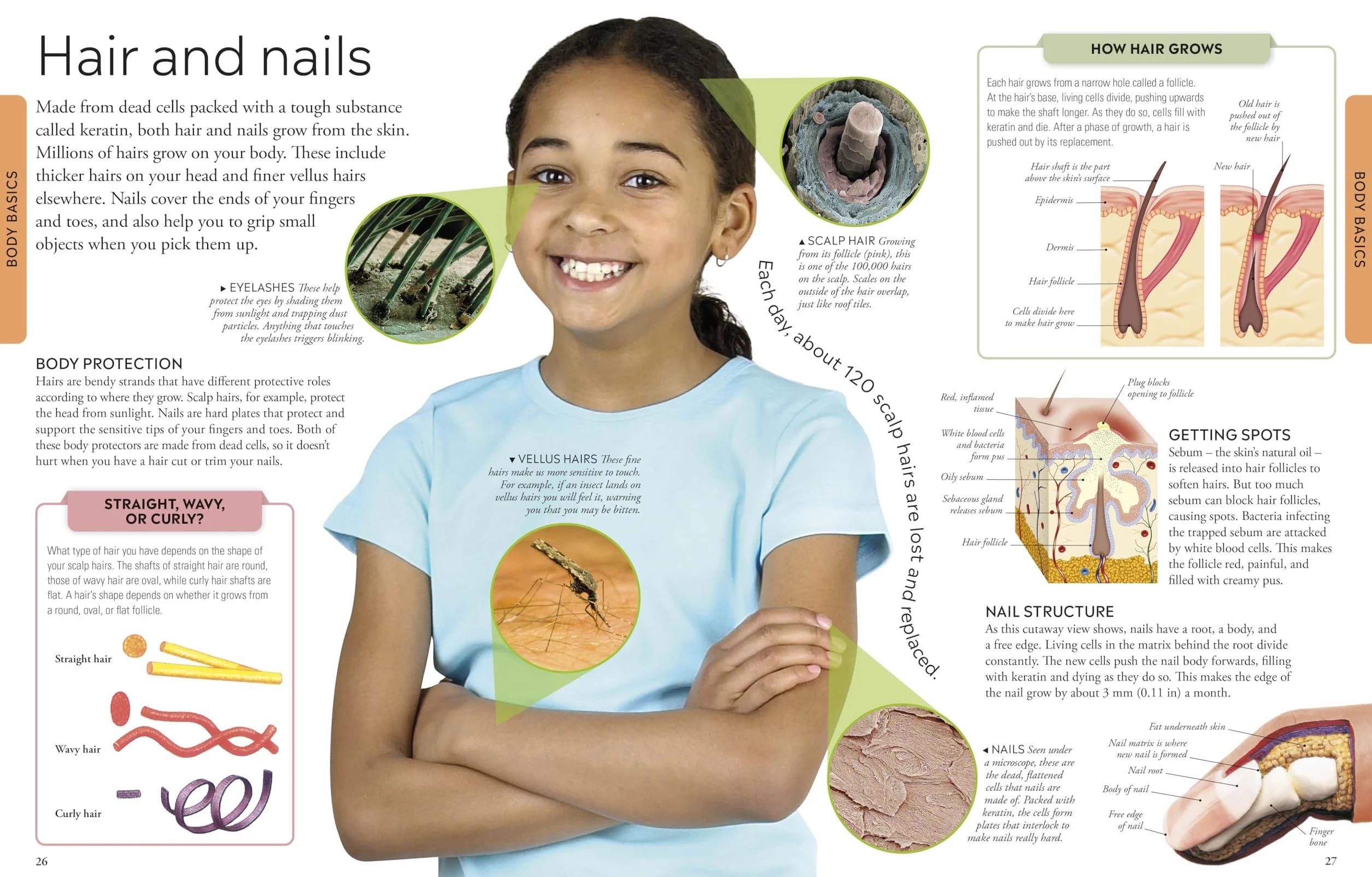 Human Body A Children's Encyclopedia