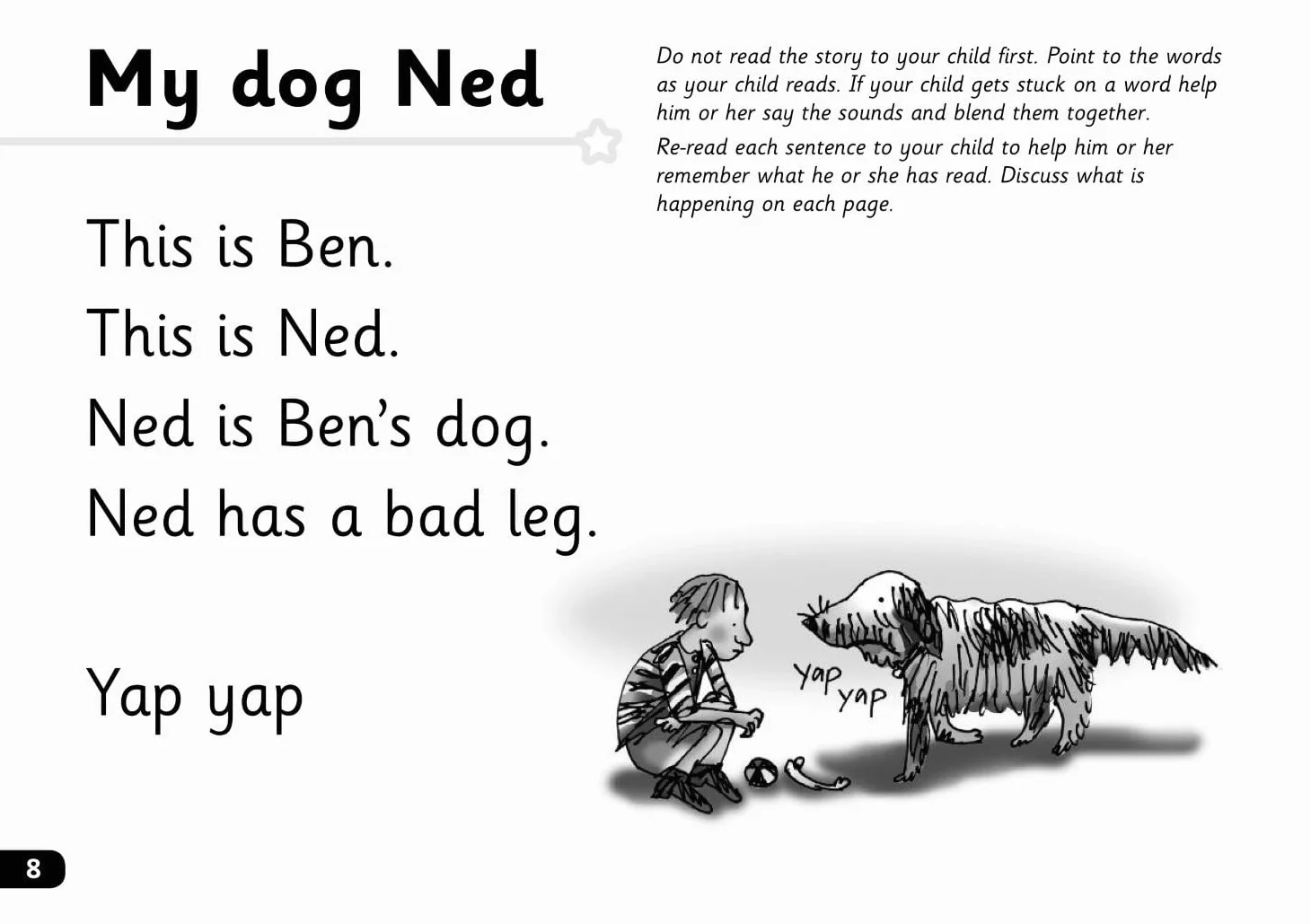 Read Write Inc - Phonics Set 1 Green Story Books - Black and White Pack of 10