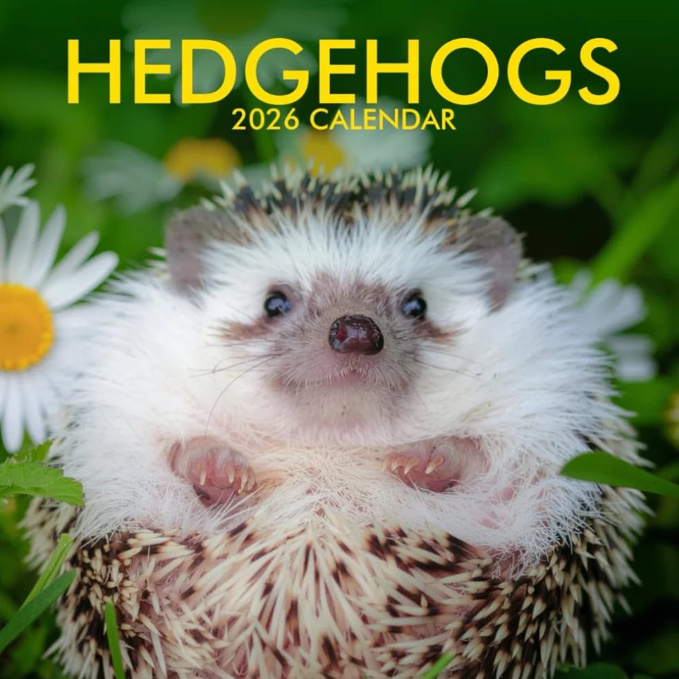 Hedgehogs Calendar 2026: A Year of Adorable & Spiky Friends: Charming Portraits of Nature's Prickliest Sweethearts