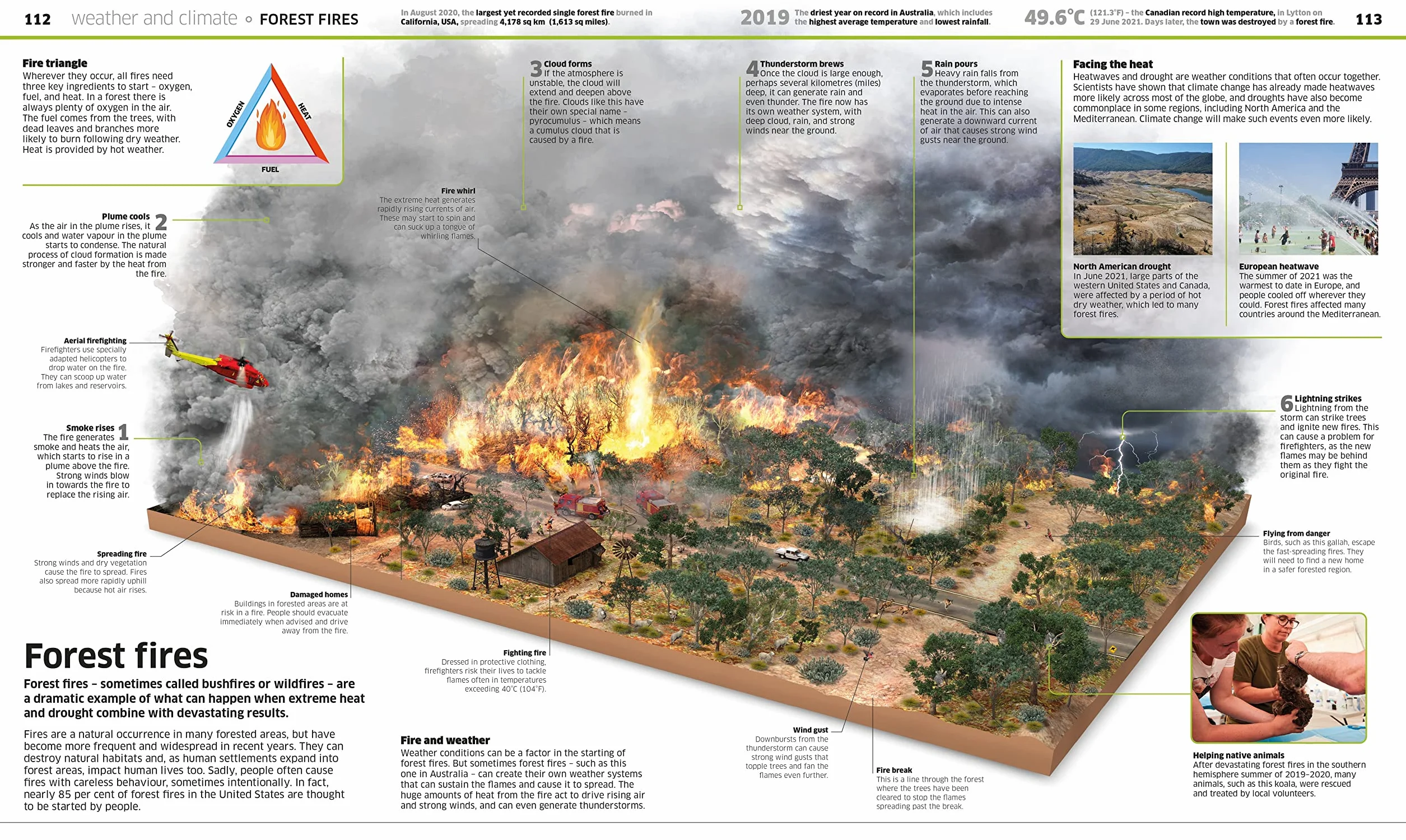 Knowledge Encyclopedia Earth!: Our Exciting World As You've Never Seen It Before