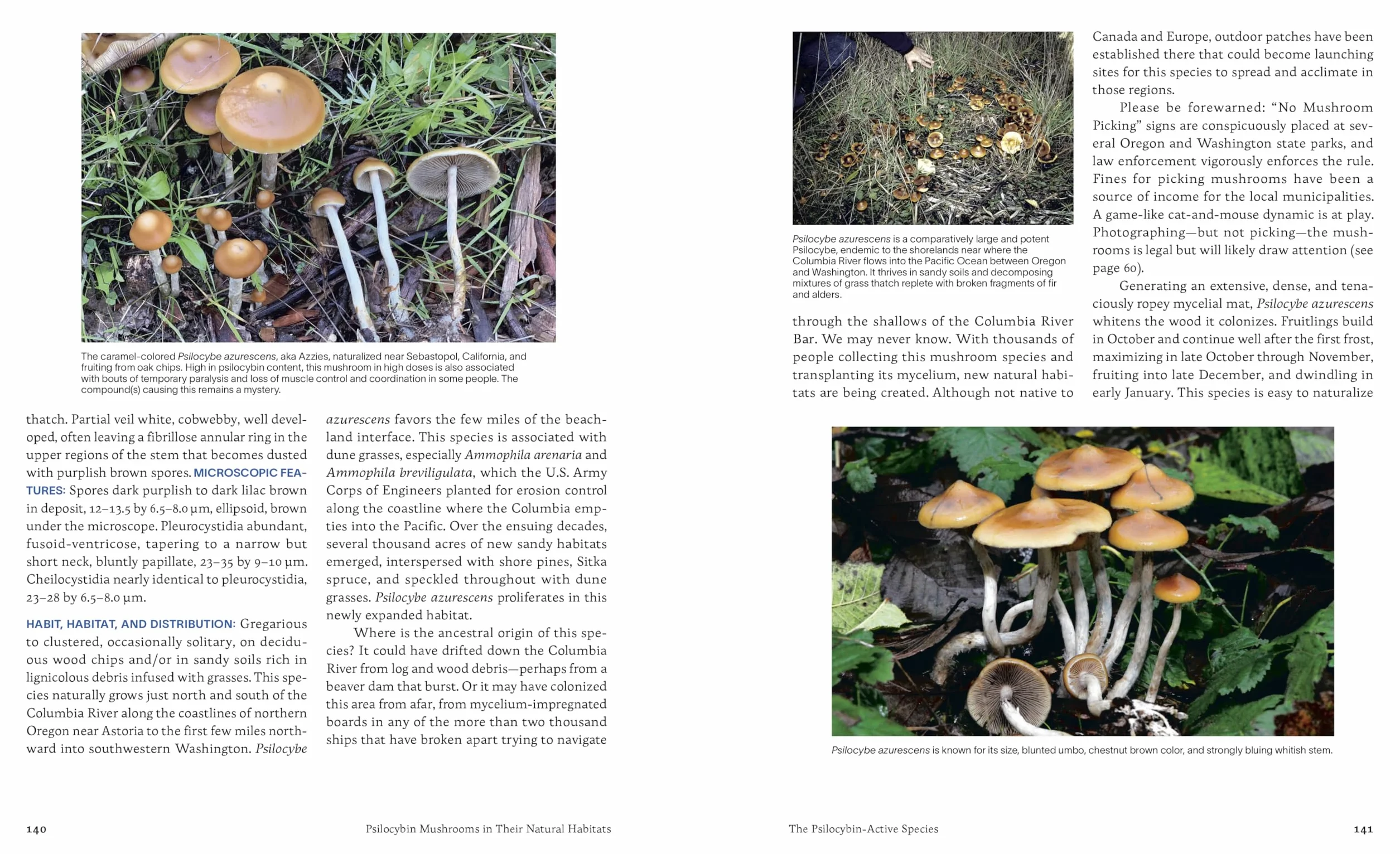 Psilocybin Mushrooms in Their Natural Habitats: A Guide to the History, Identification, and Use of Psychoactive Fungi