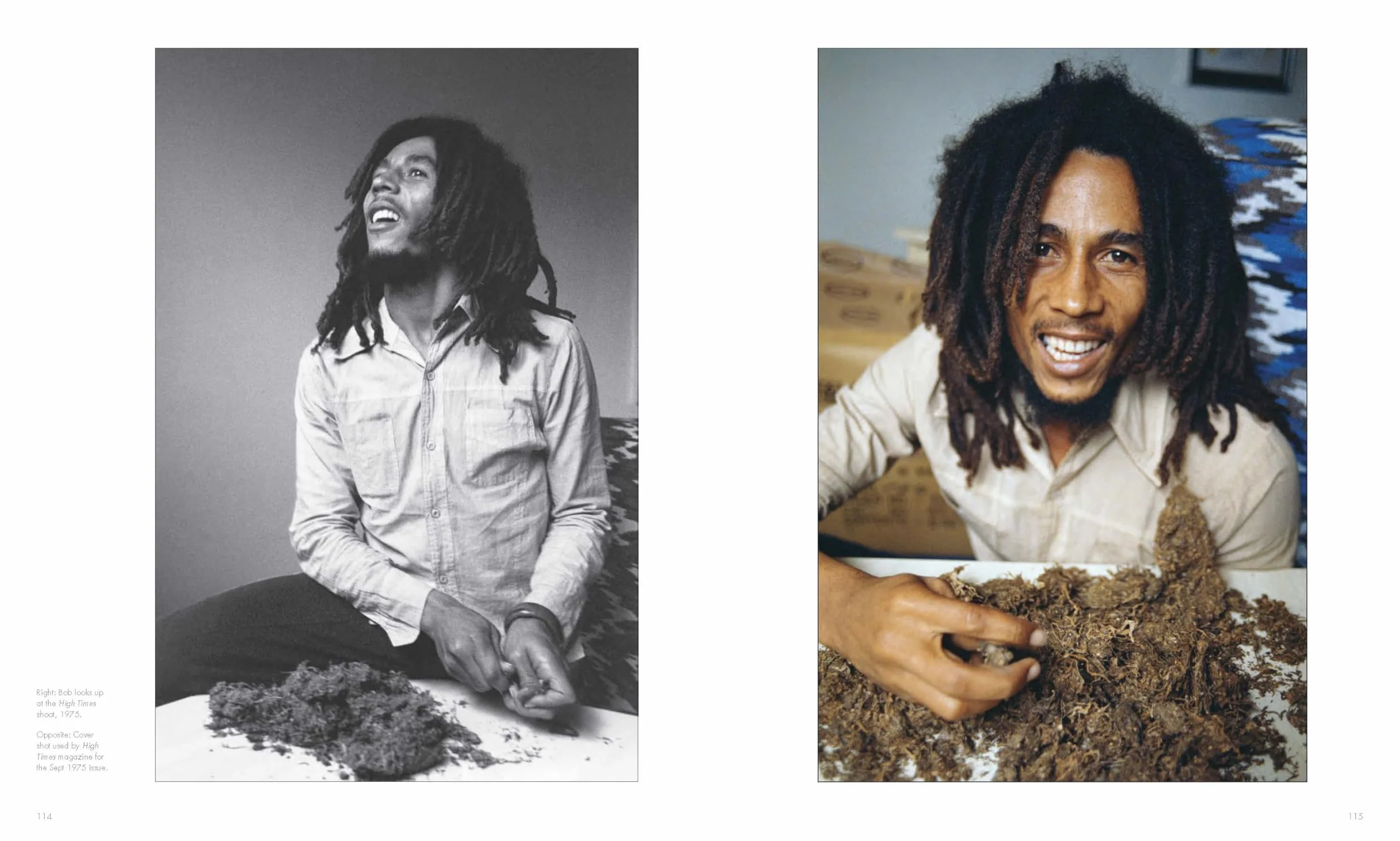 Bob Marley and the Golden Age of Reggae: 1975-1976 the Photographs of Kim Gottlieb-Walker