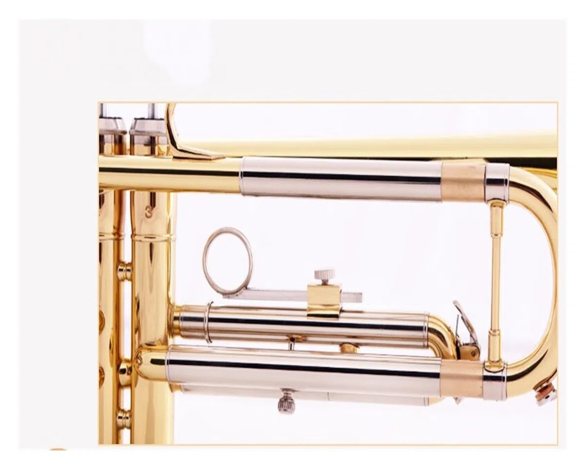 trąbka instrument Nowa mosiężna trąbka B z płaskim paskiem dla początkujących