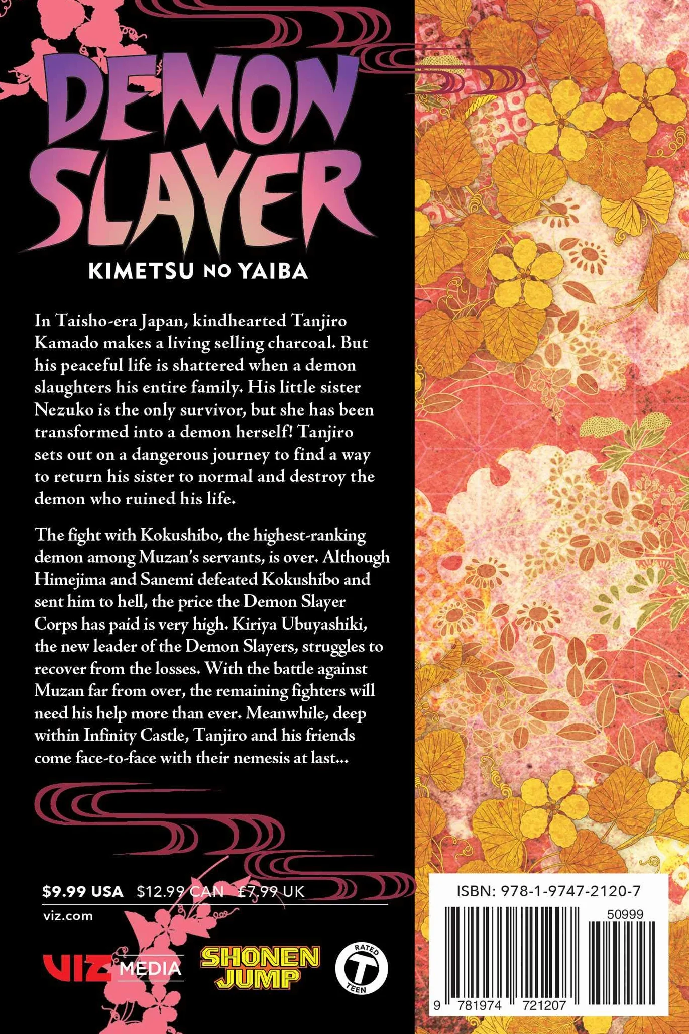 Demon Slayer: Kimetsu No Yaiba, Vol. 21: Volume 21