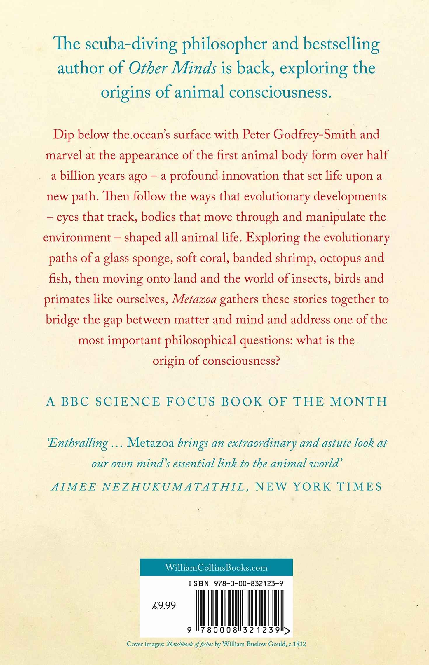 Metazoa: Animal Minds and the Birth of Consciousness