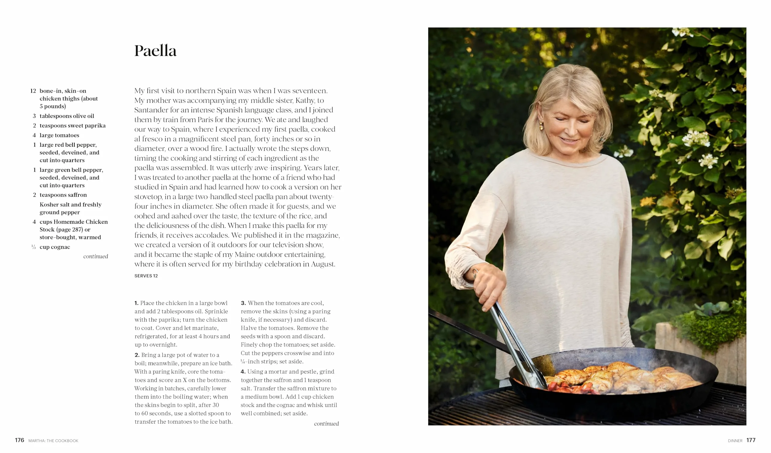 Martha: The Cookbook: 100 Favorite Recipes, with Lessons and Stories from My Kitchen