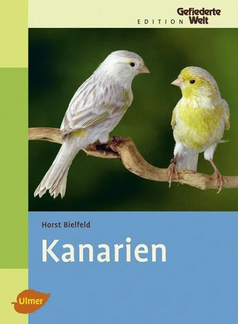 Kanarien: Gesangskanarien, Farbenkanarien, Positurkanarien, Mischlinge