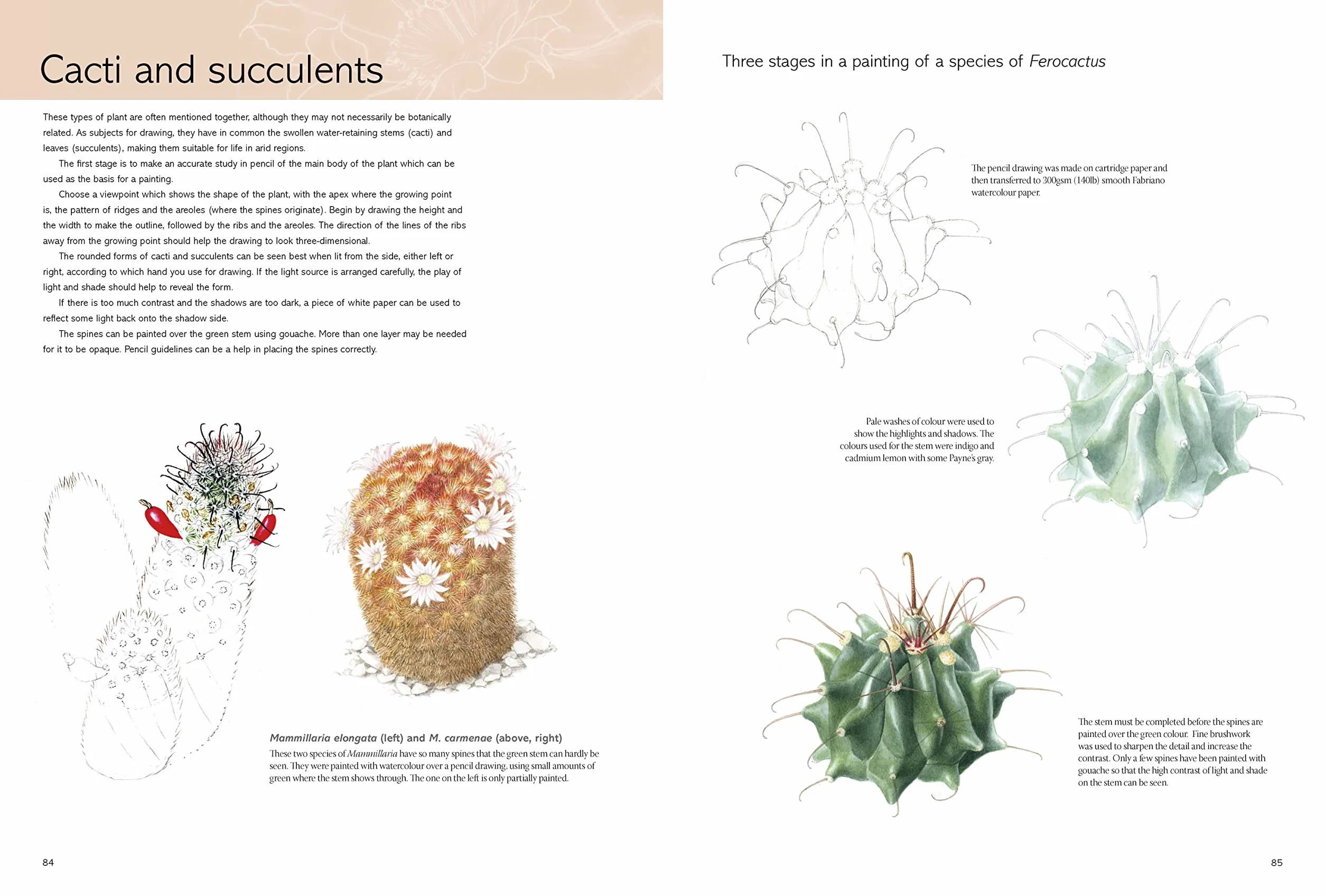 Kew Book of Botanical Illustration
