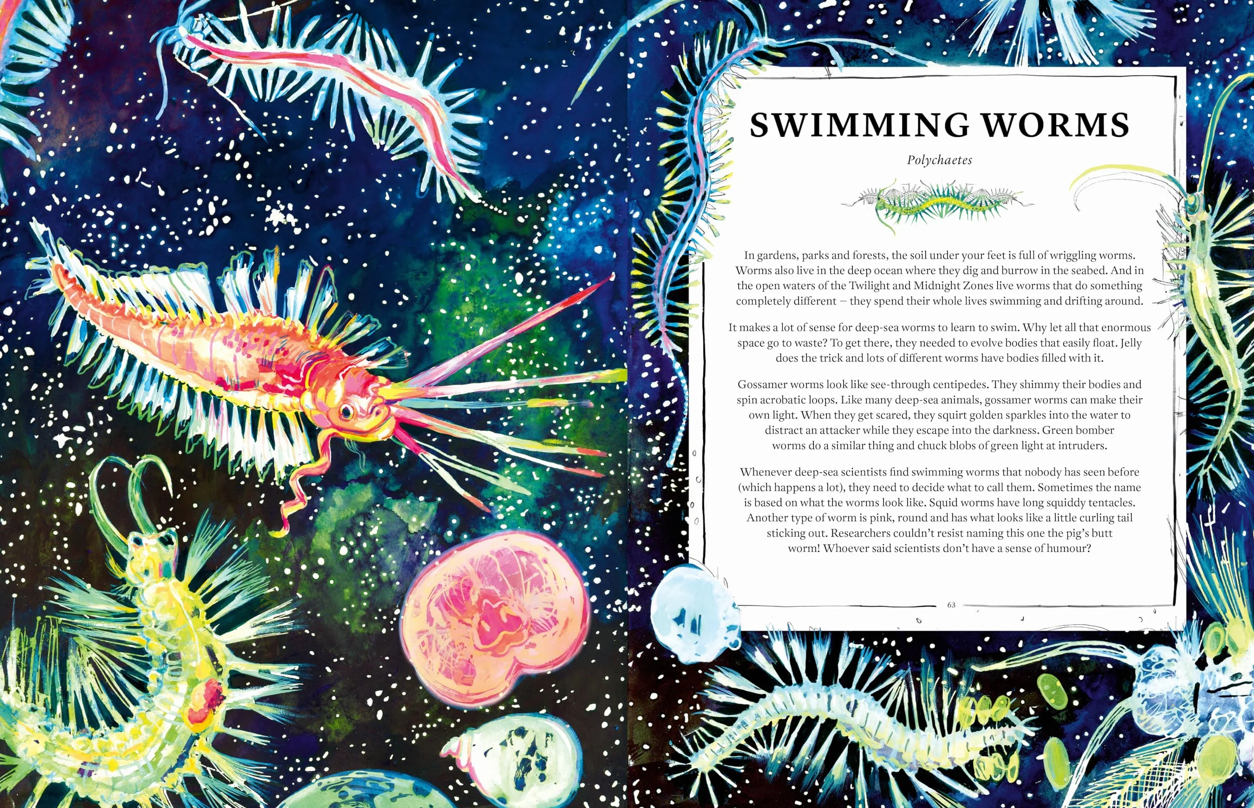 Oceanopedia /anglais: an Encyclopedia of Marine Creatures