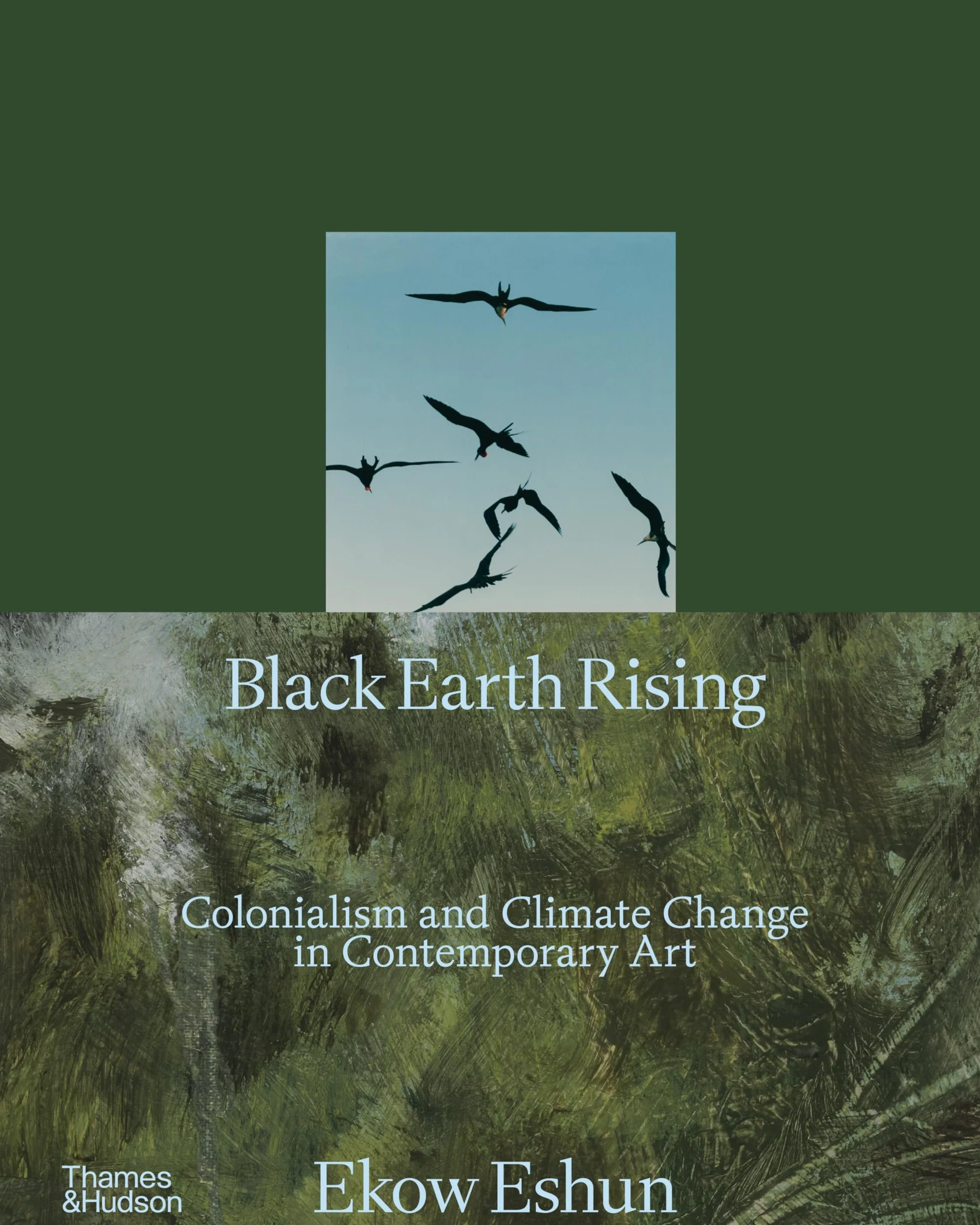 Black Earth Rising: Colonialism and Climate Change in Contemporary Art