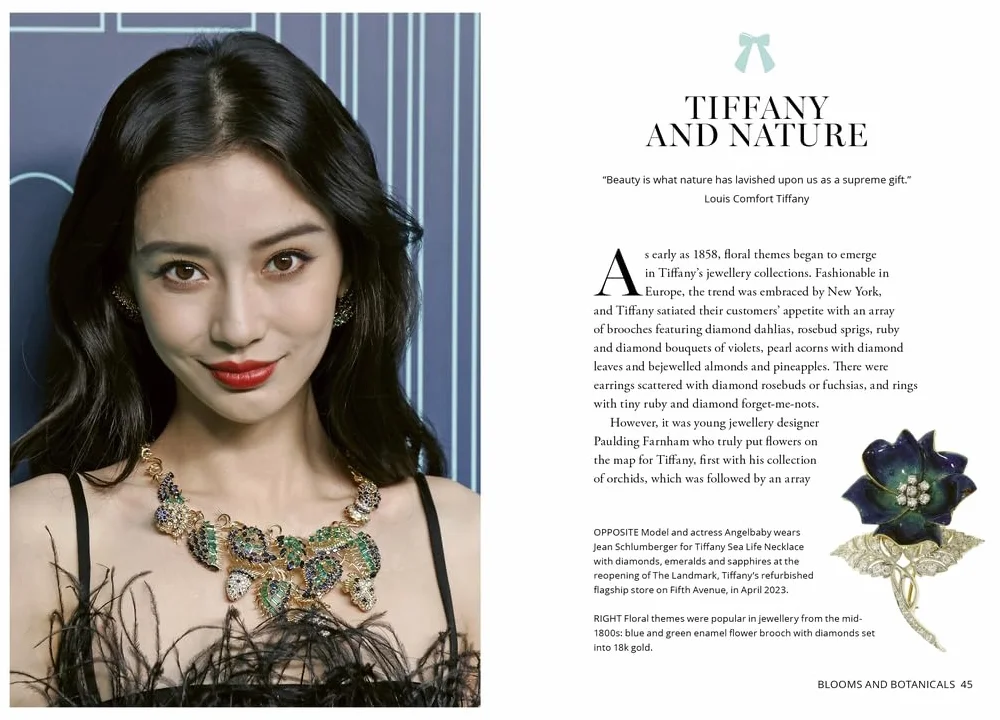 Little Book of Tiffany & Co.: The Story of the Iconic Jewellery Brand