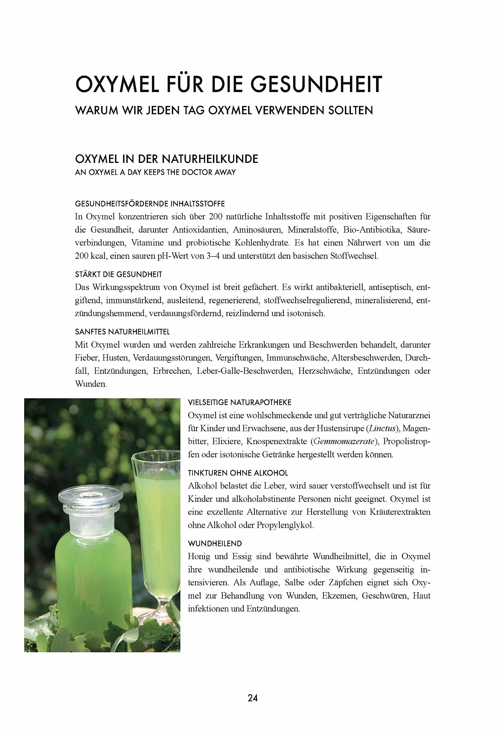 Das große Buch vom OXYMEL: Medizin aus Honig und Essig