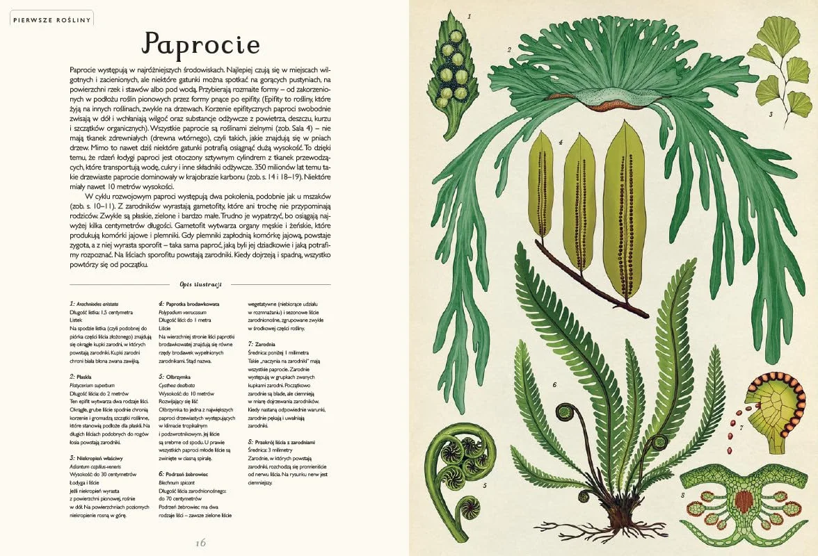BOTANICUM: Muzeum Roślin