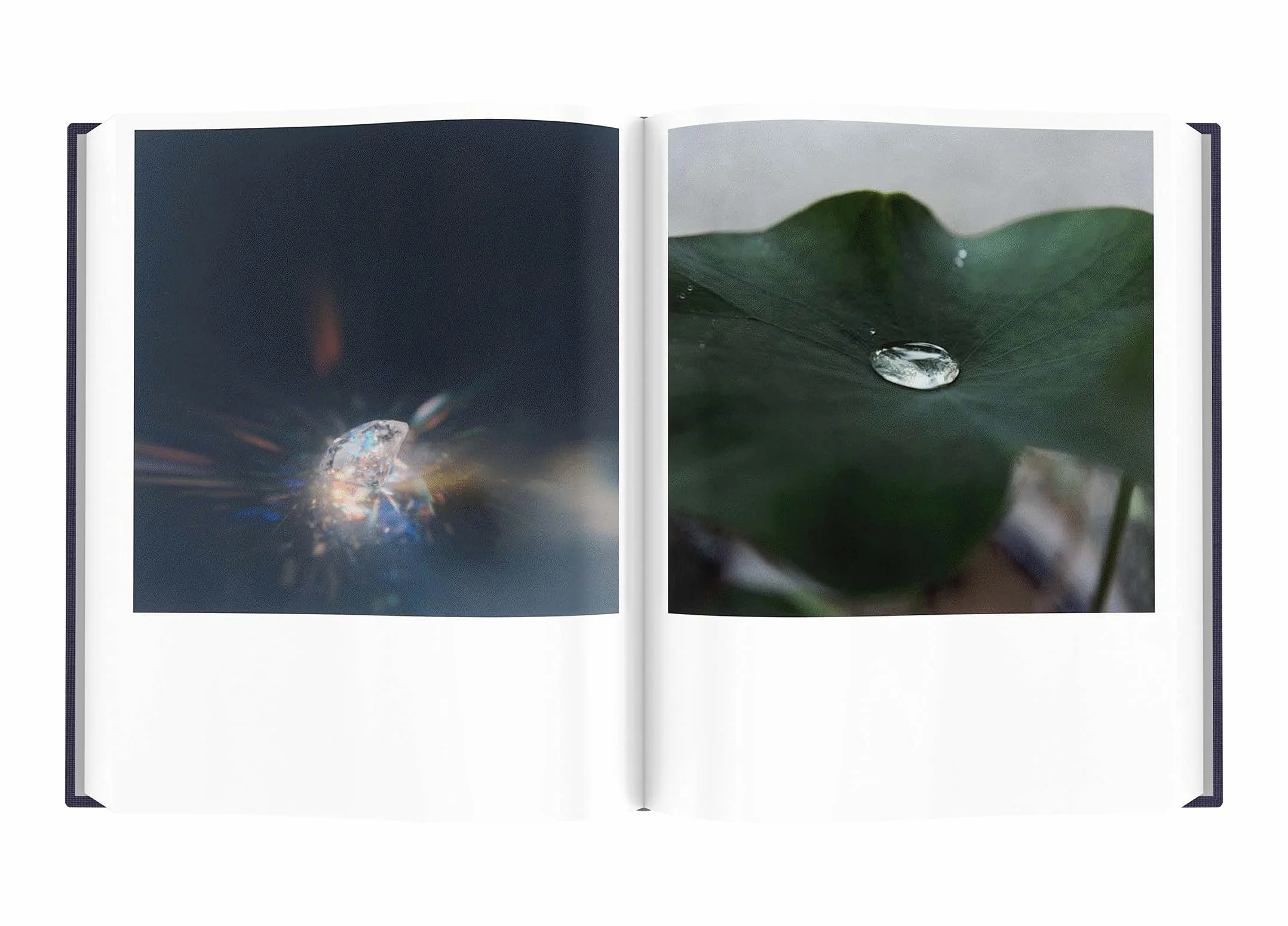 Rinko Kawauchi Illuminance The Ten-Year Anniversary Edition /anglais