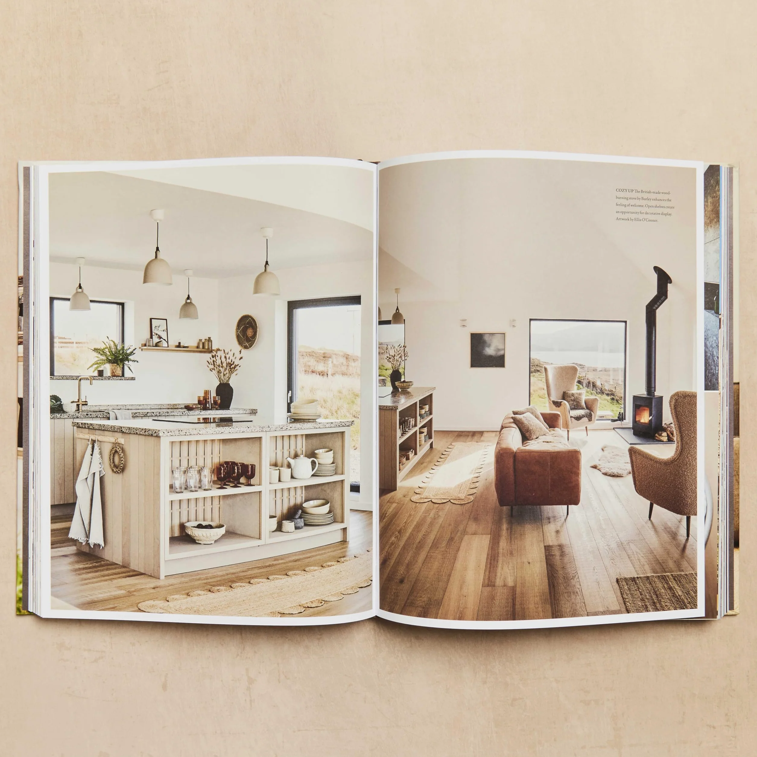 Cocoon: Creating Homes with Heart