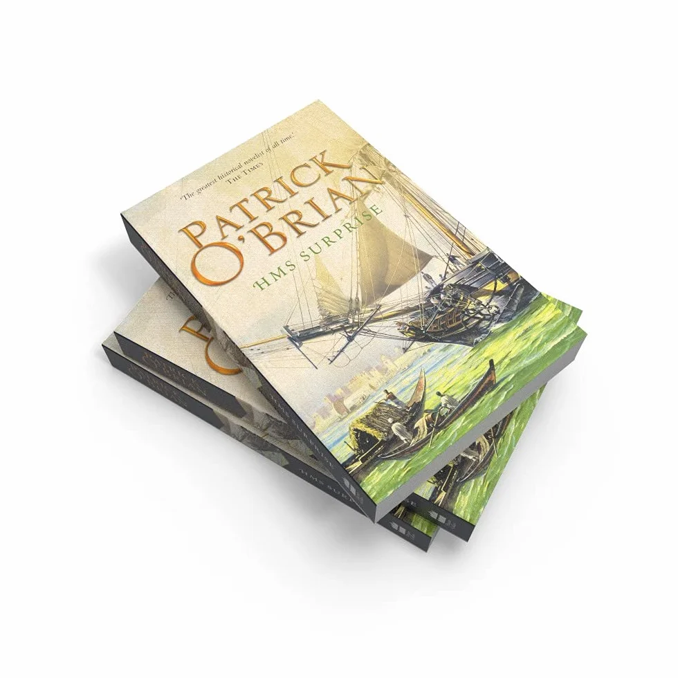 HMS Surprise: The epic historical action adventure historical fiction novel: Book 3