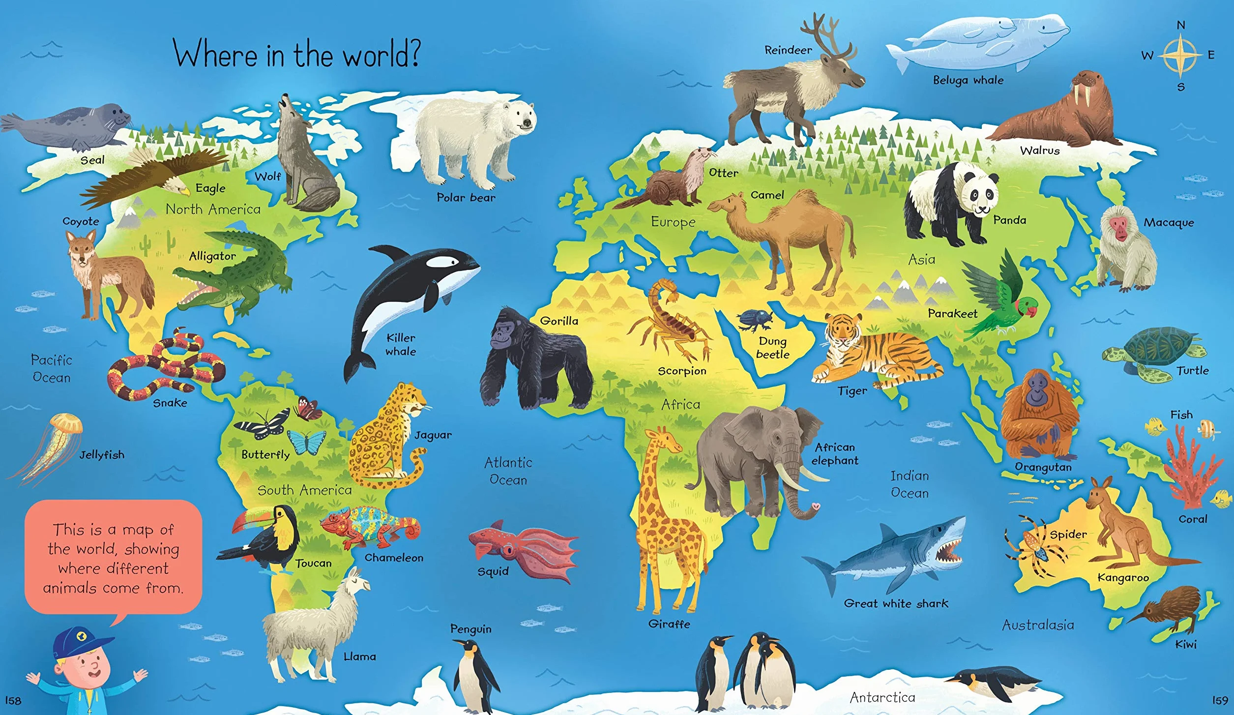 My First Encyclopedia (My First Book): 1 (All About)