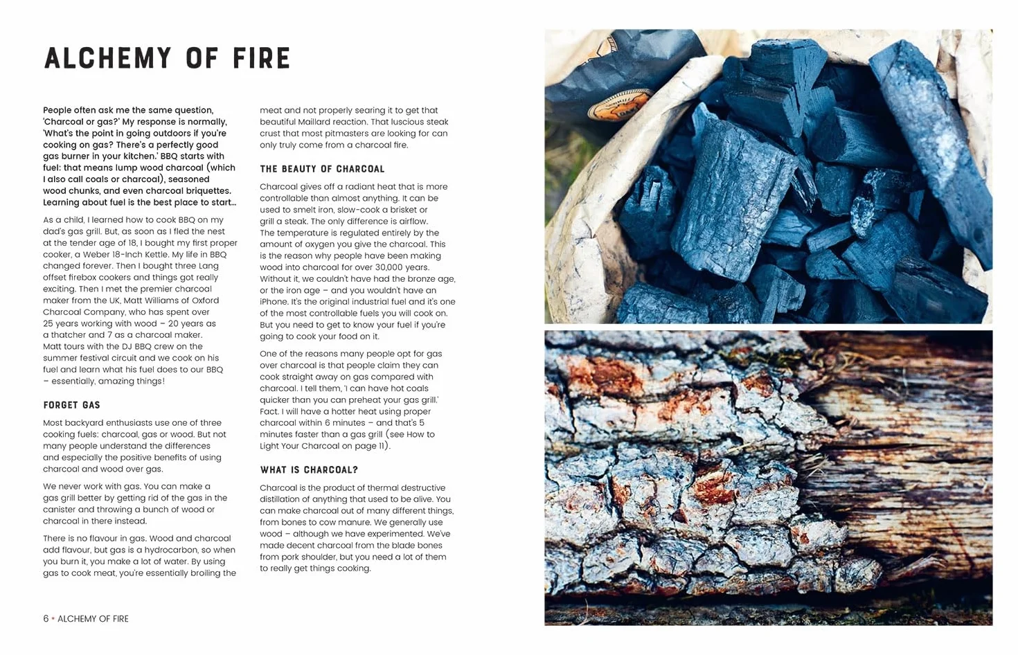 Fire Food: The Ultimate BBQ Cookbook