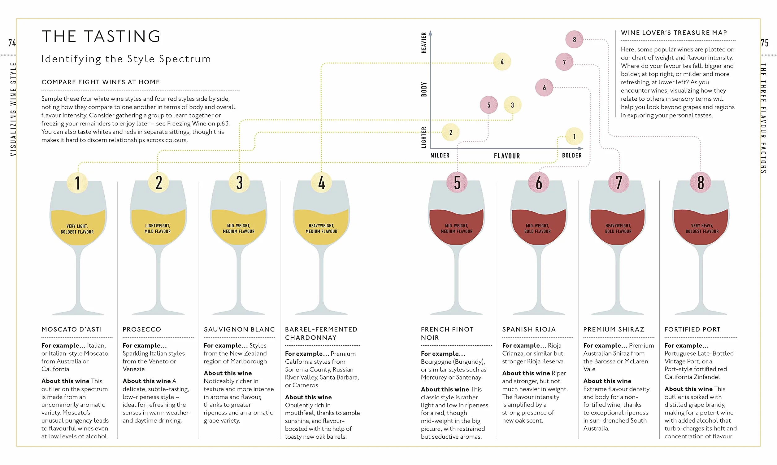 Wine A Tasting Course: From Grape to Glass