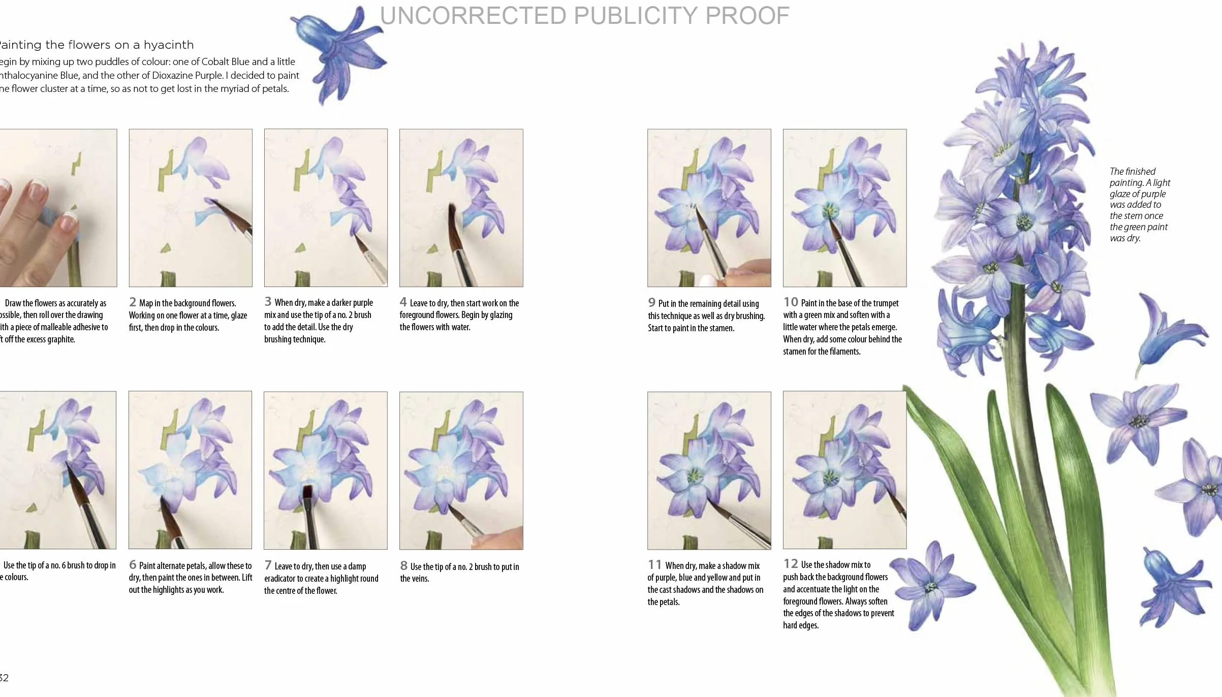 Billy Showell's Botanical Painting in Watercolour