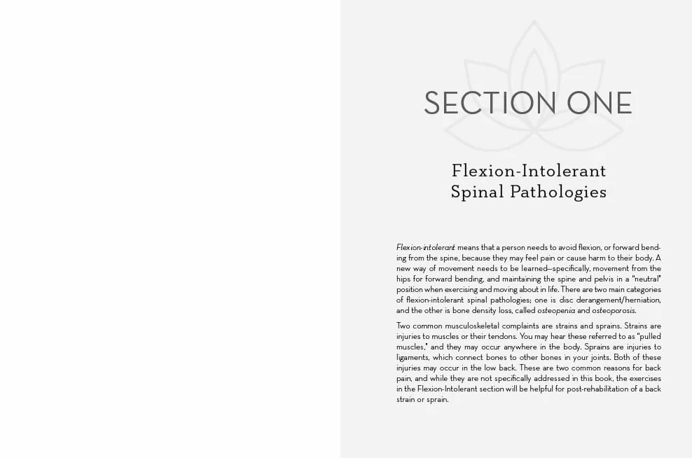 Safe Movement for All Spines: A Guide to Spinal Anatomy and How to Work with 21 Spine and Hip Conditions