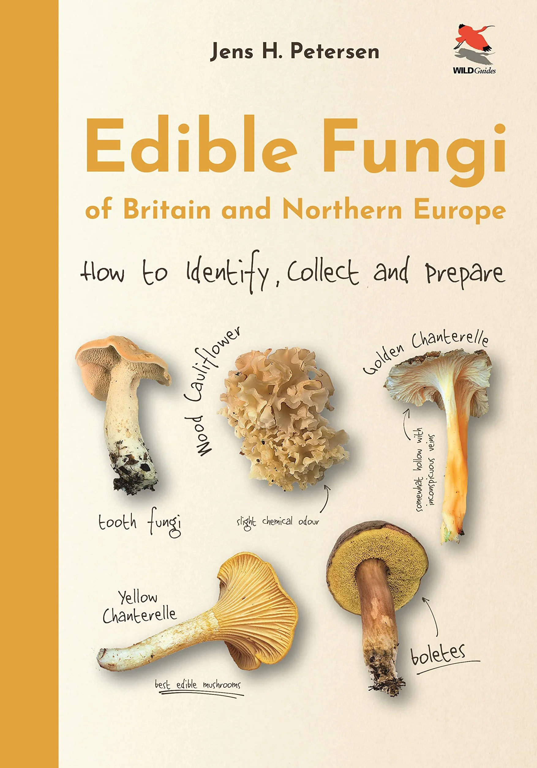 Edible Fungi of Britain and Northern Europe: How to Identify, Collect and Prepare