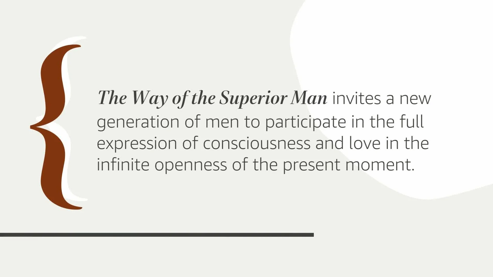 The Way of the Superior Man: A Spiritual Guide to Mastering the Challenges of Women, Work, and Sexual Desire (20th Anniversary Edition)