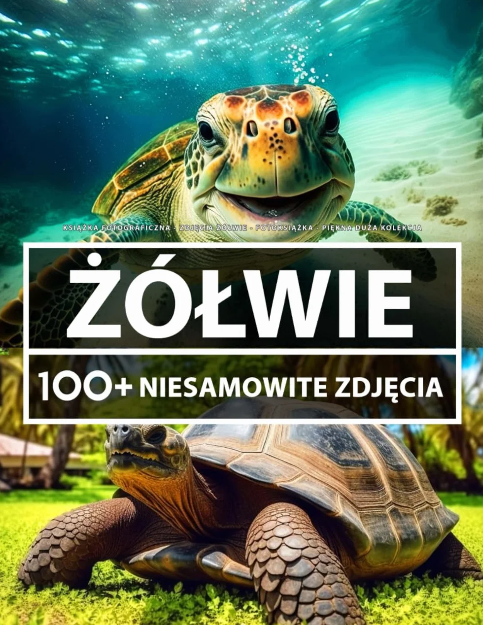Książka Fotograficzna - Zdjęcia Żółwie - Piękna Duża Kolekcja: 100+ Niesamowitych Obrazów - Dla Dzieci I Dorosłych