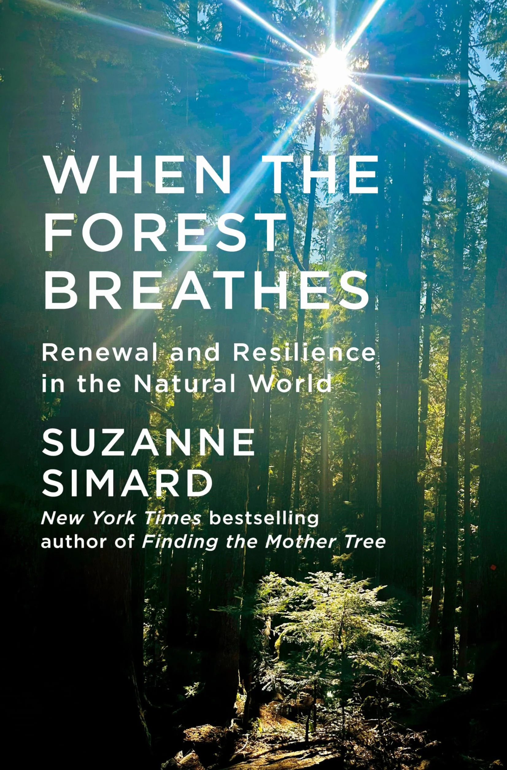 When the Forest Breathes: Renewal and Resilience in the Natural World