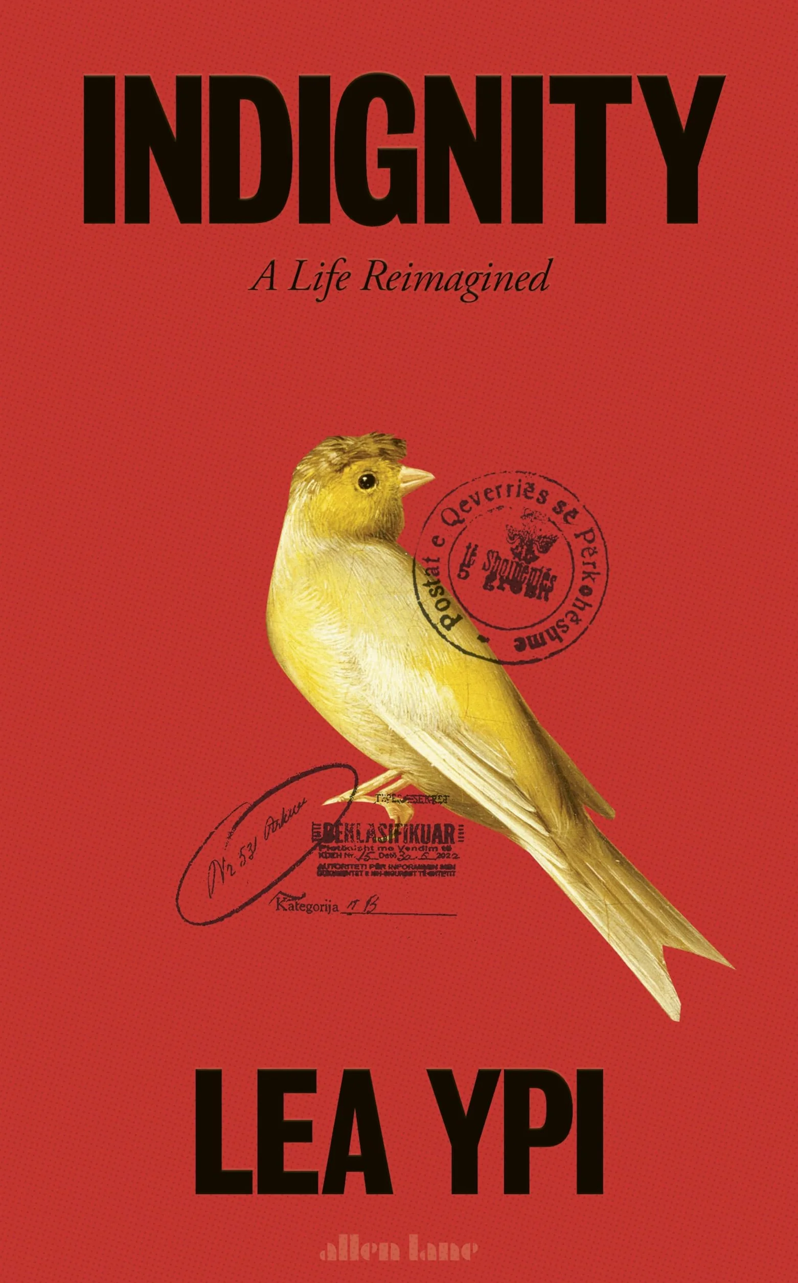 Indignity: A Life Reimagined