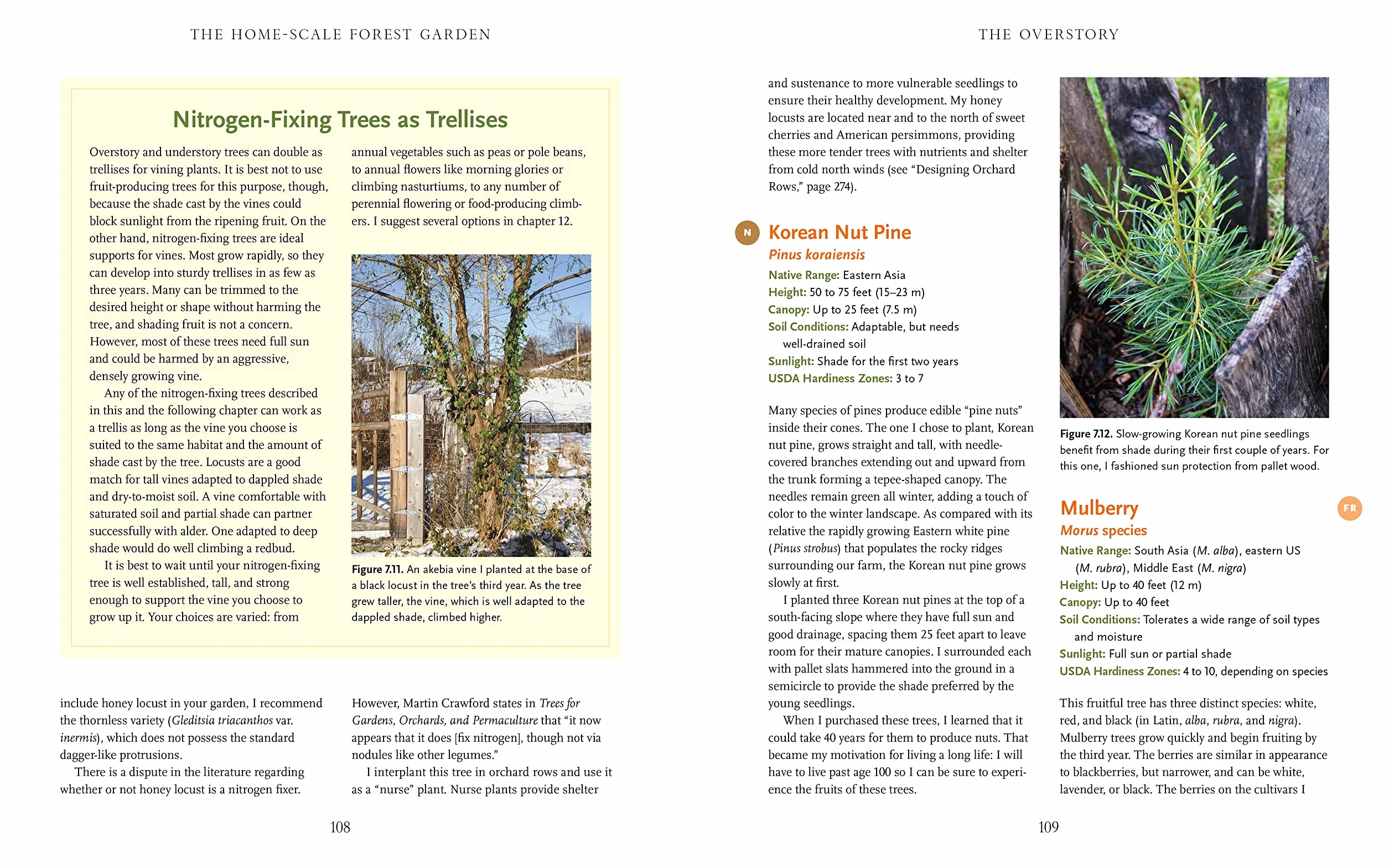 The Home-Scale Forest Garden: How to Plan, Plant, and Tend a Resilient Edible Landscape