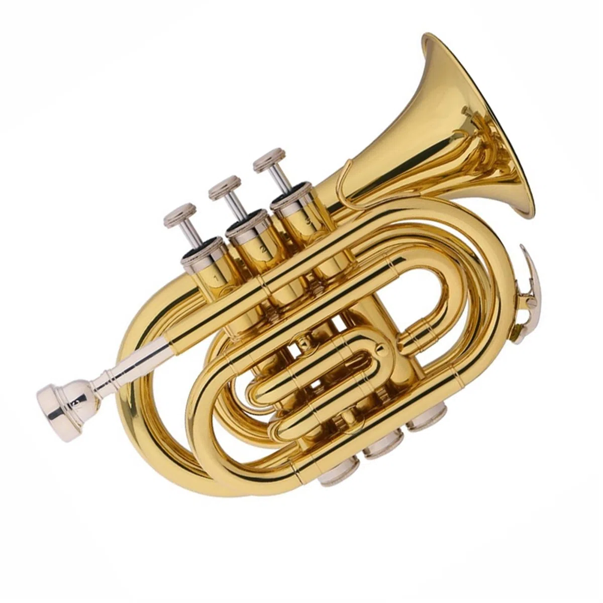 początkujących trąbka Trąbka Kieszonkowa B-dur Instrument Muzyczny Profesjonalny Standardowy Trąbka Mosiądz Wykwintny Początkujący