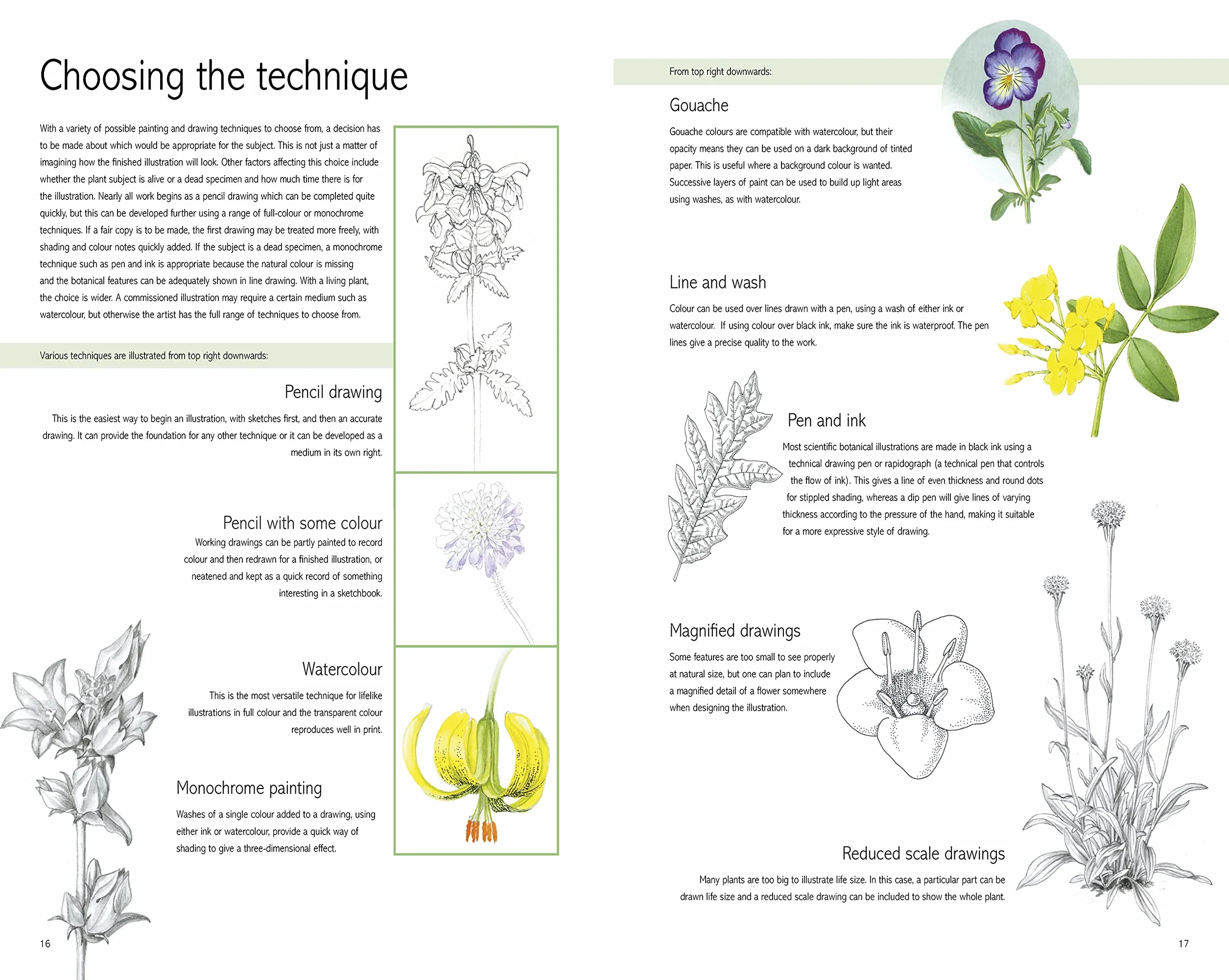 Kew Book of Botanical Illustration