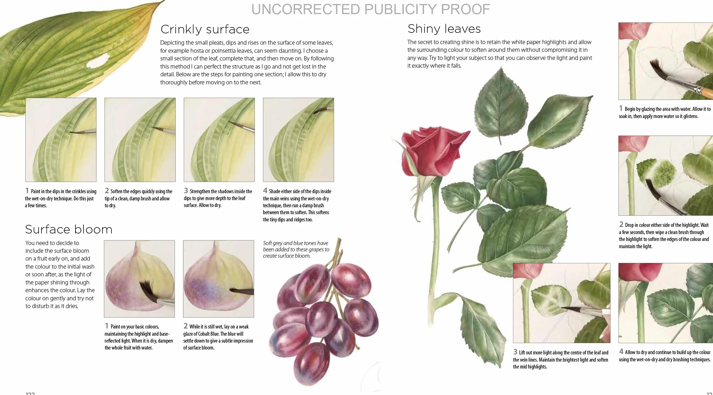 Billy Showell's Botanical Painting in Watercolour